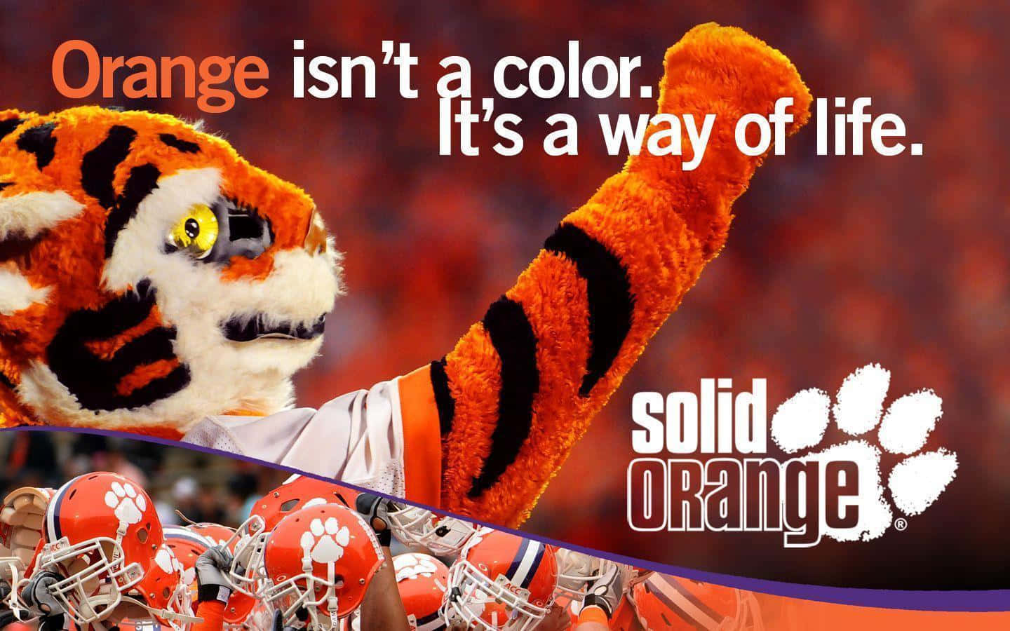 Clemson Tigers Football Team Mascot
