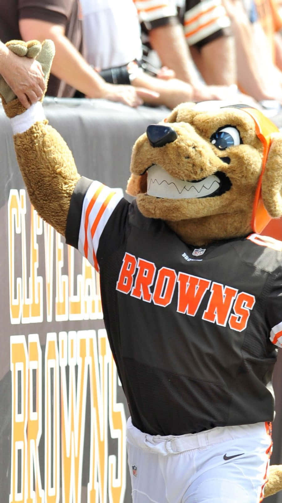 Cleveland Browns Mascot High Five Background