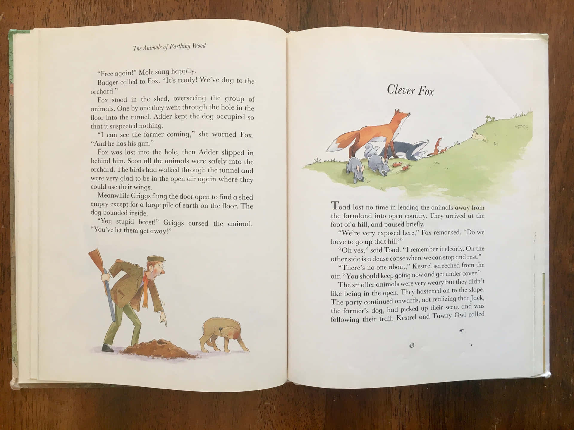 Clever Fox From The Animals Of Farthing Wood Background