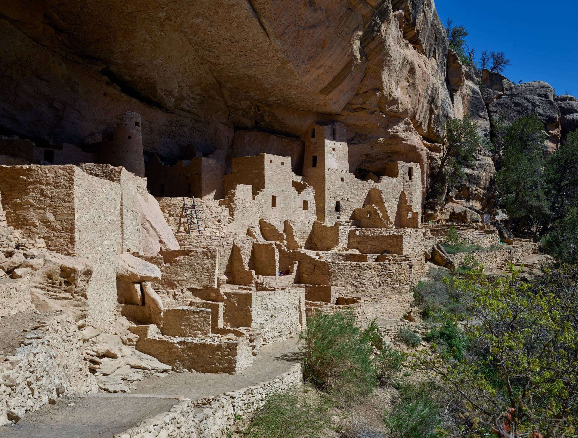 Cliff Palace Colorado Background