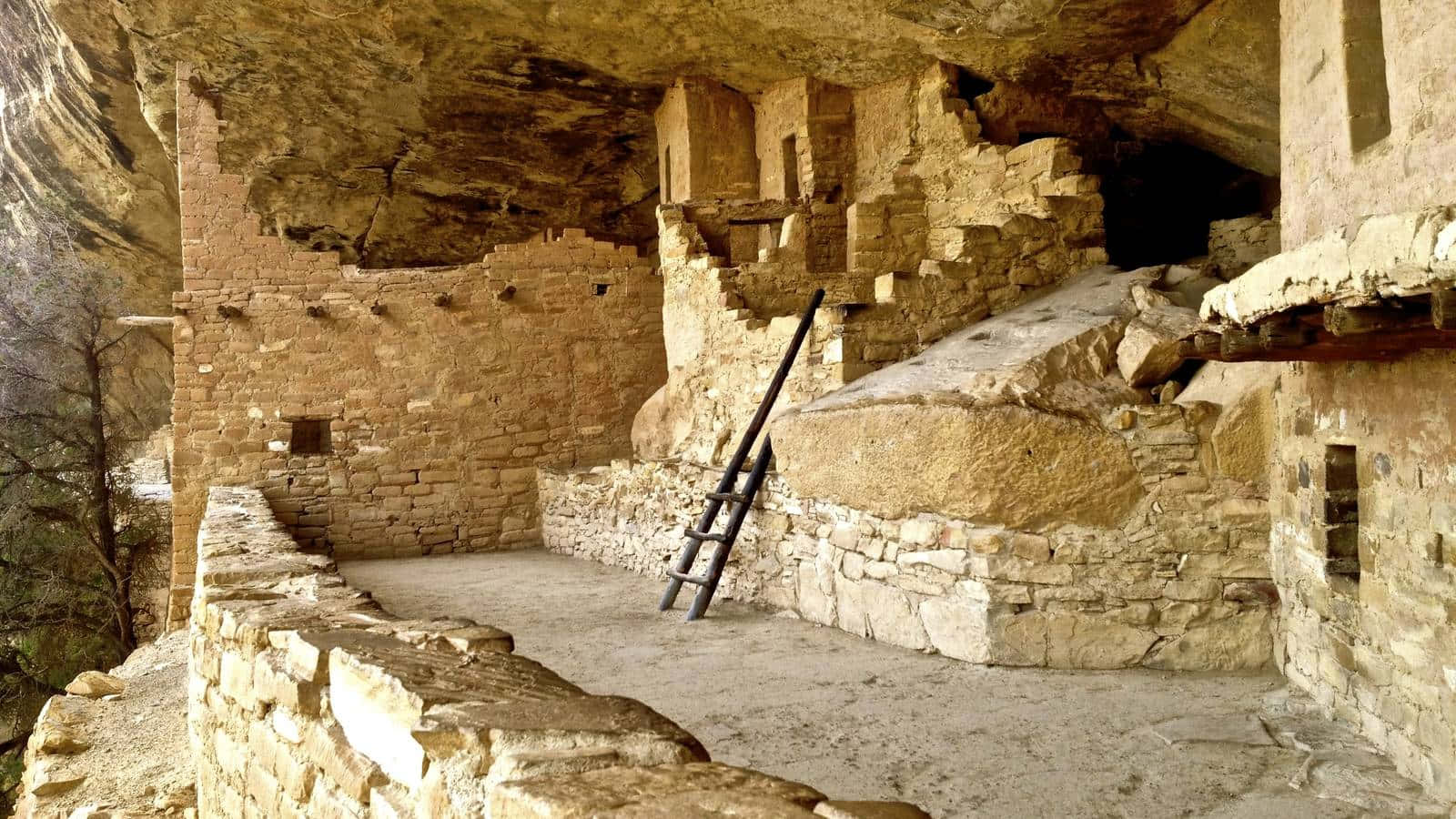 Cliff Palace Ladder Mesa Verde National Park Background