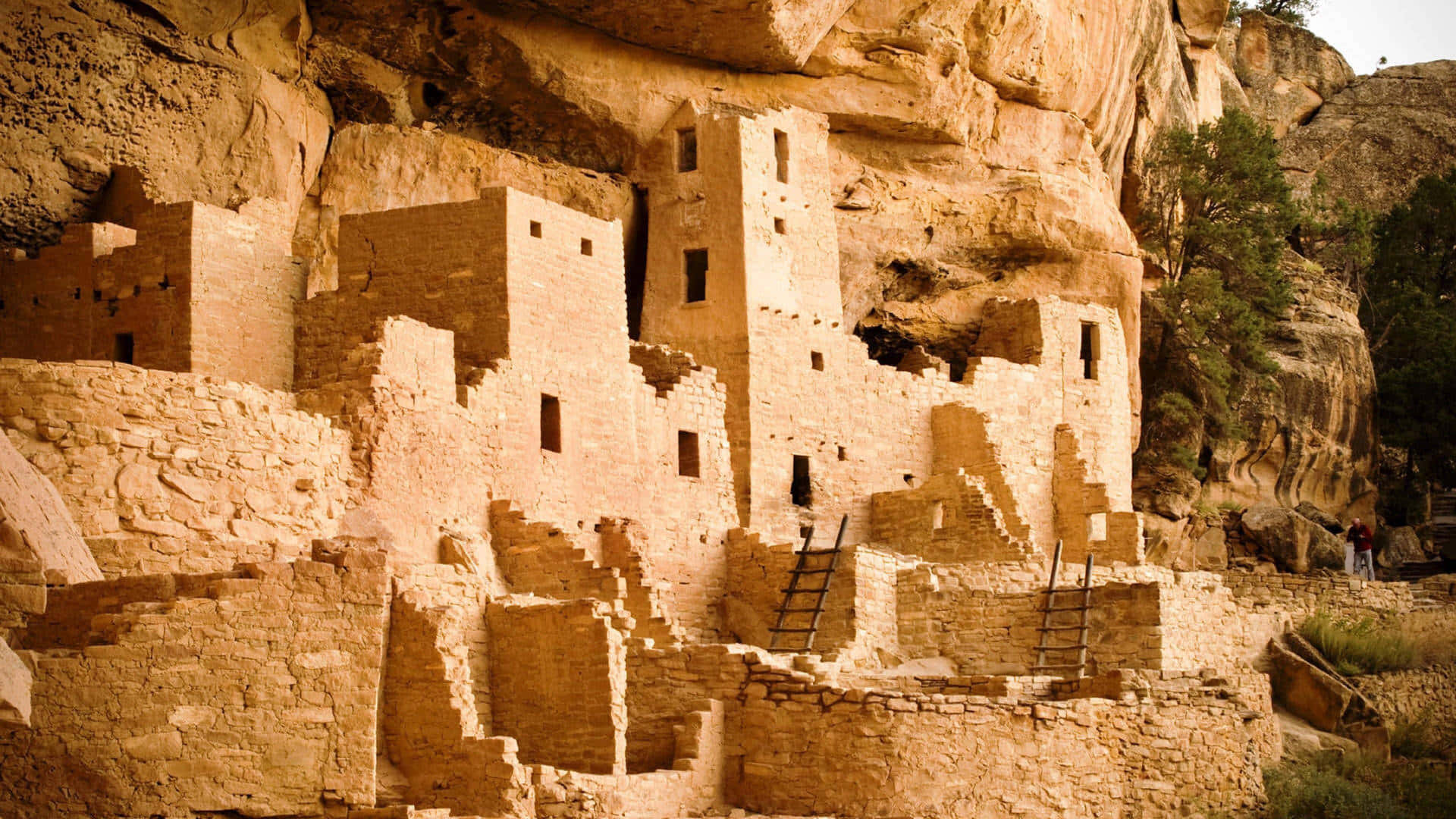 Cliff Palace Structures Mesa Verde National Park Background