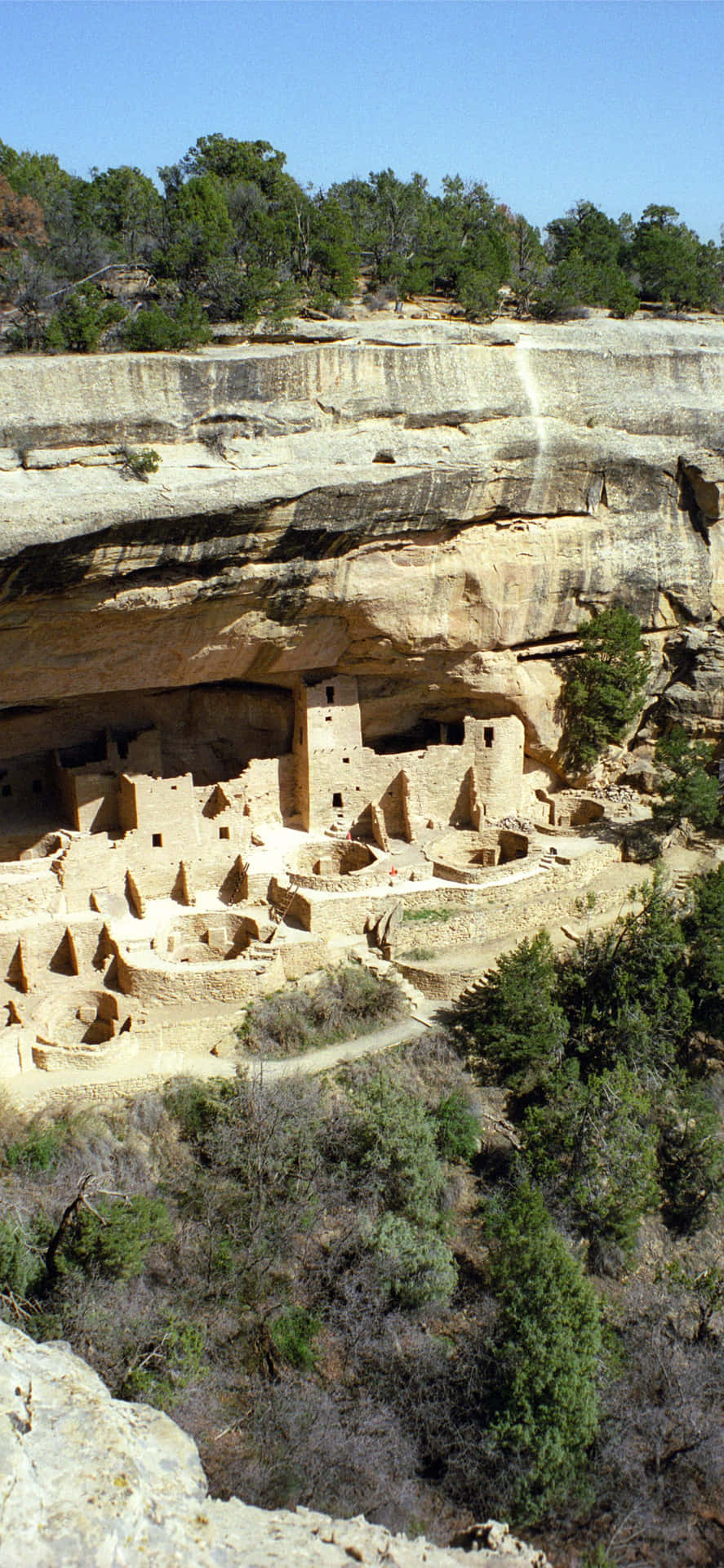 Cliff Palace Tan Color Mesa Verde National Park Background