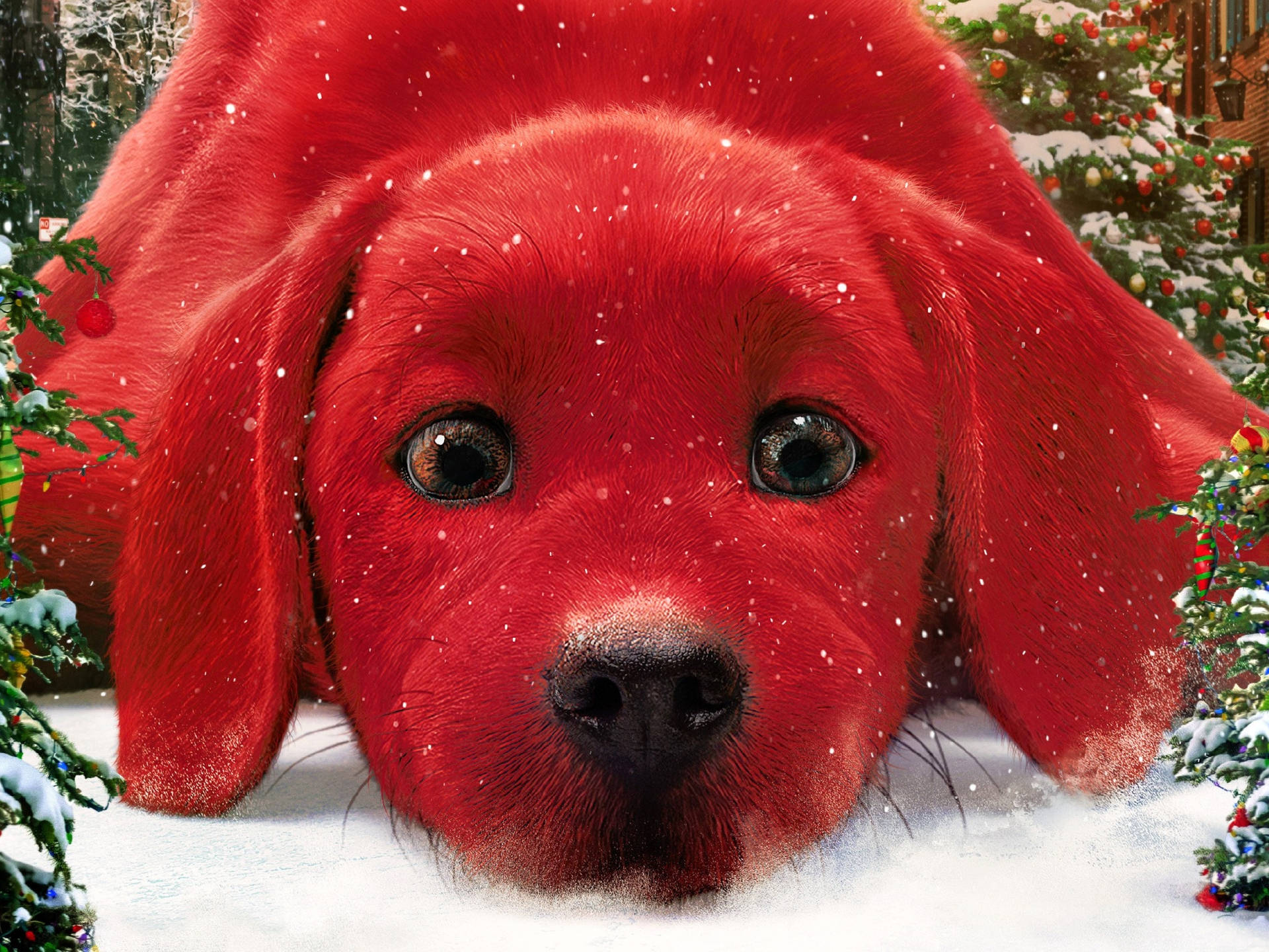 Clifford The Big Red Dog Christmas