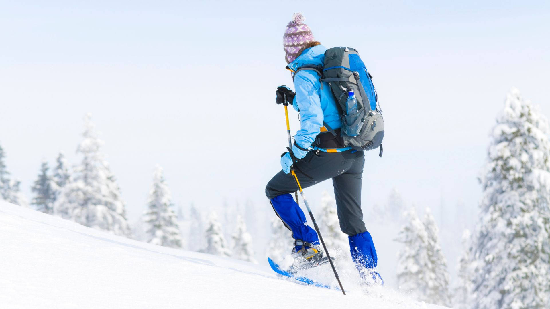 Climbing Up The Snowy Hill Snowshoeing Background