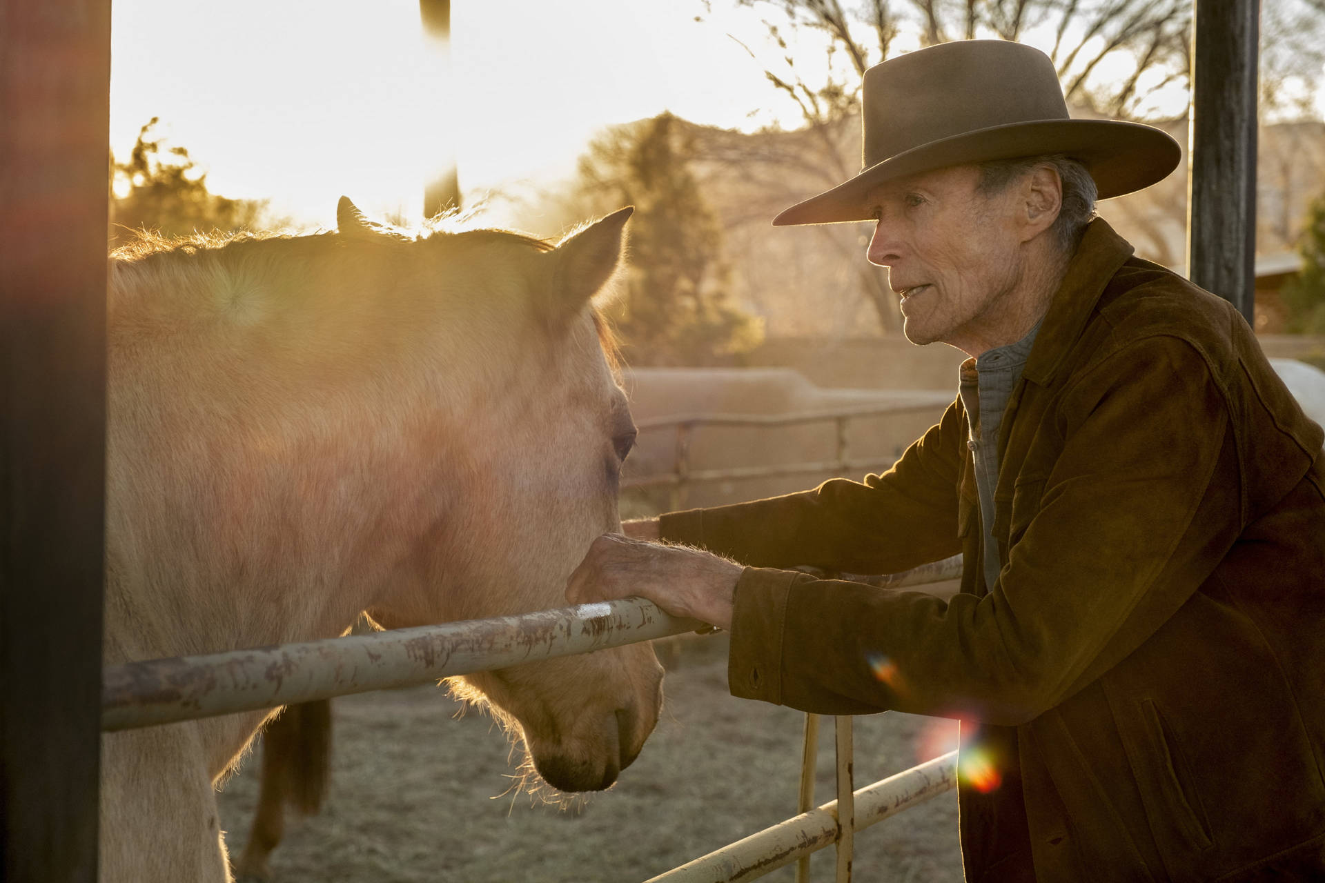 Clint Eastwood Petting Horse Background