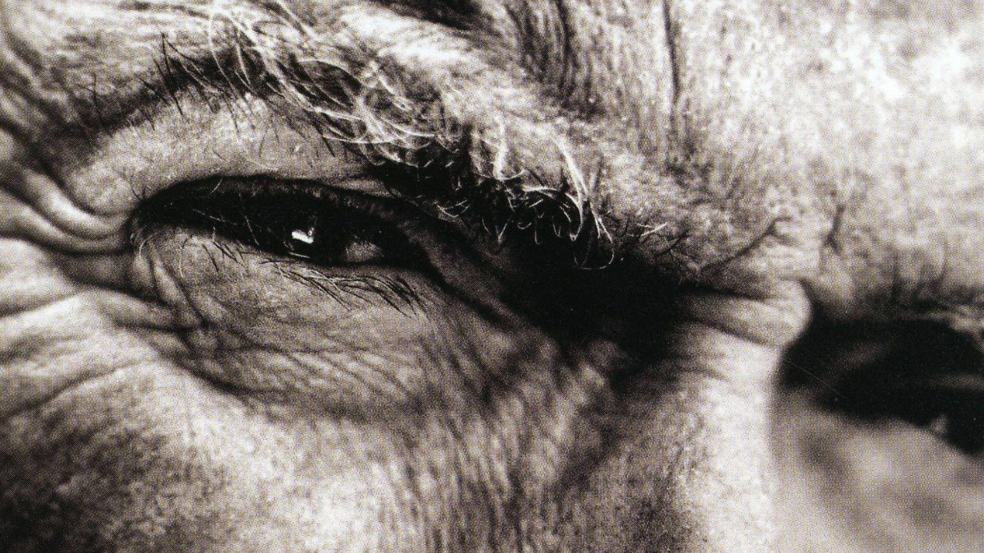 Clint Eastwood Wrinkly Eyes Background