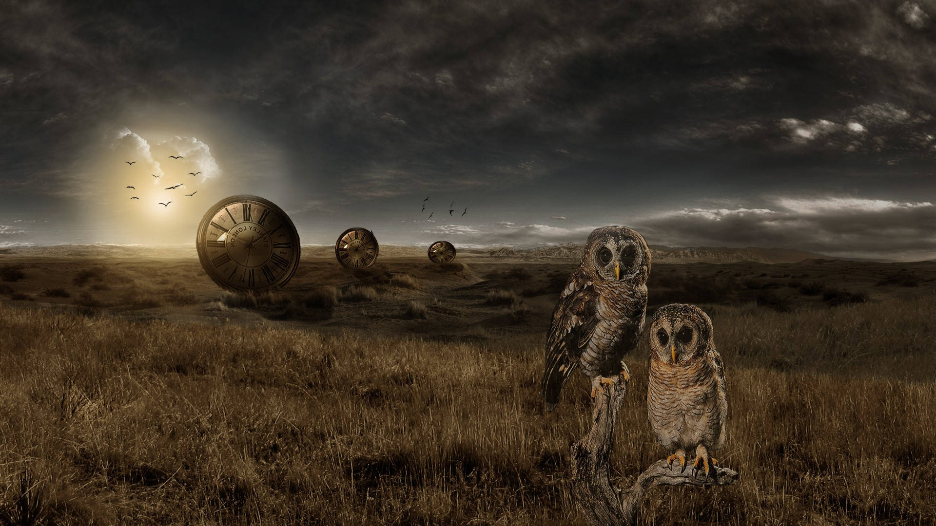 Clock Dials And Owls Photoshop Hd Background