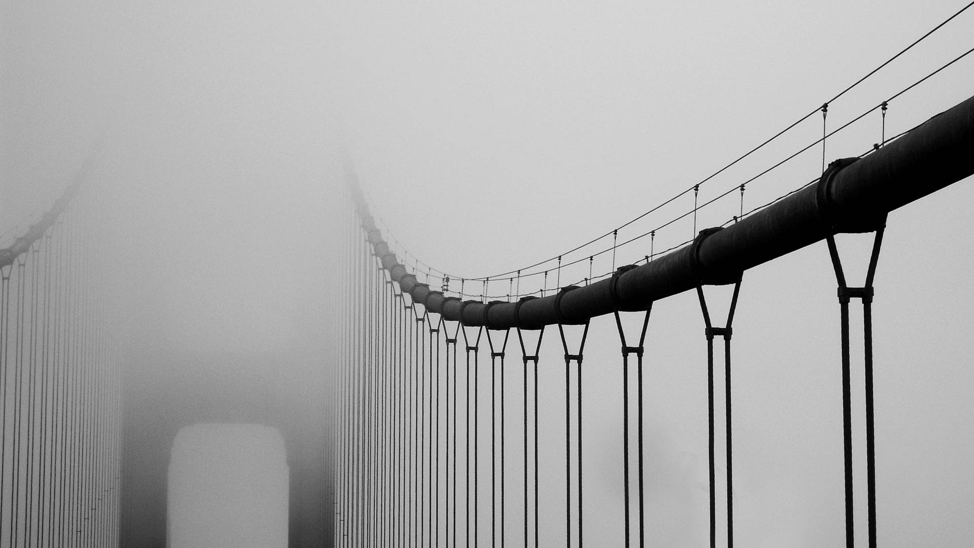 Close-up B&w Bridge San Francisco Photography Background