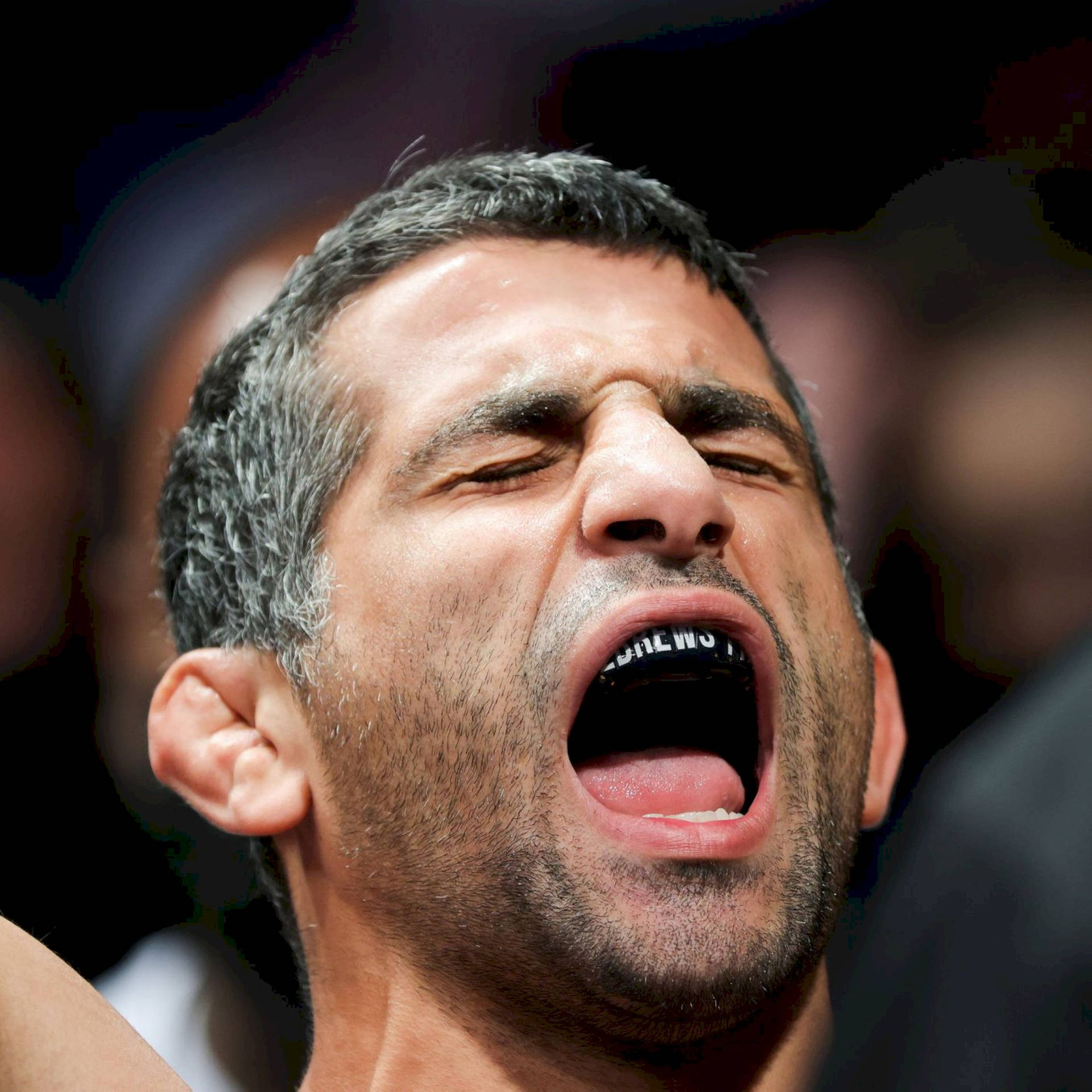 Close-up Beneil Dariush Background