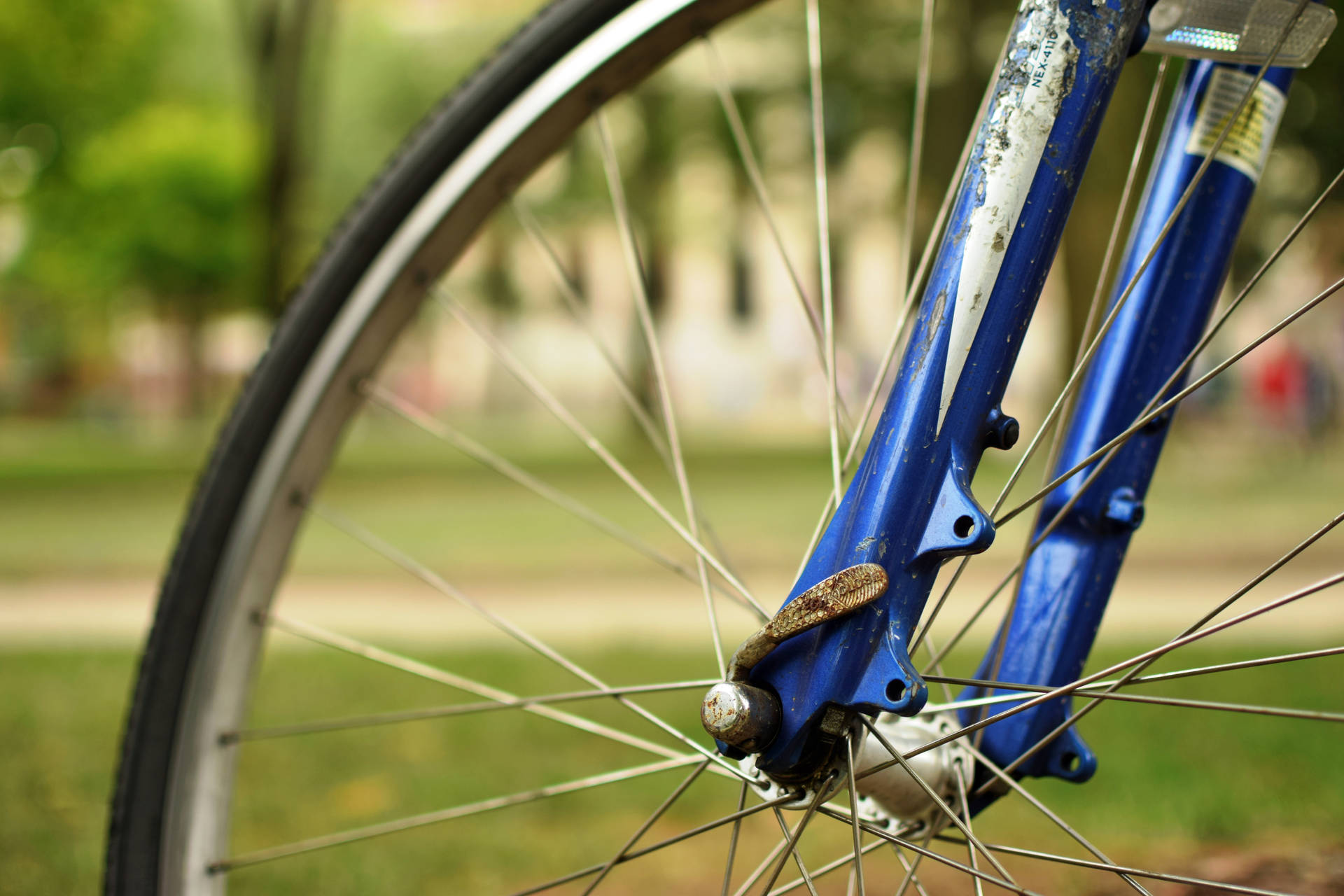 Close-up Bicycle Wheel