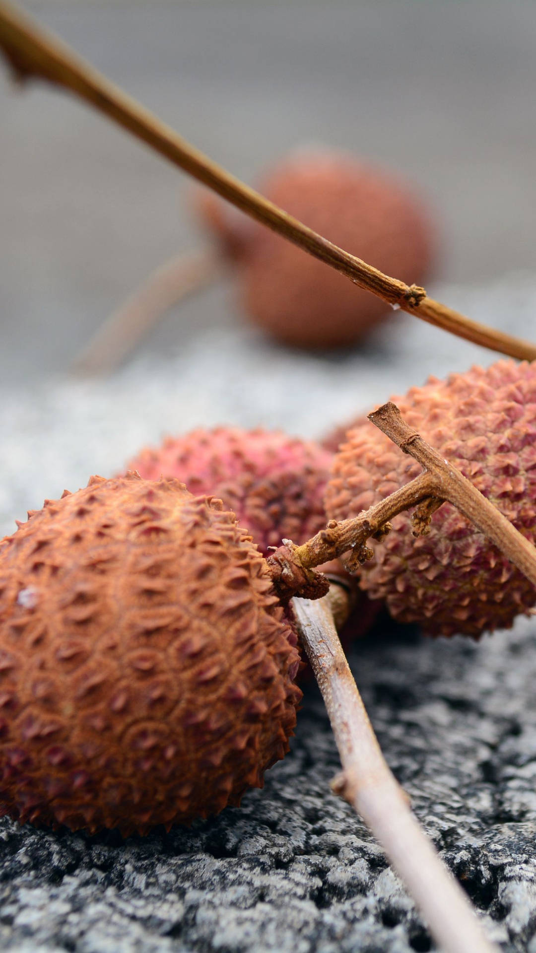 Close Up Brown Tropical Fruit Lychees