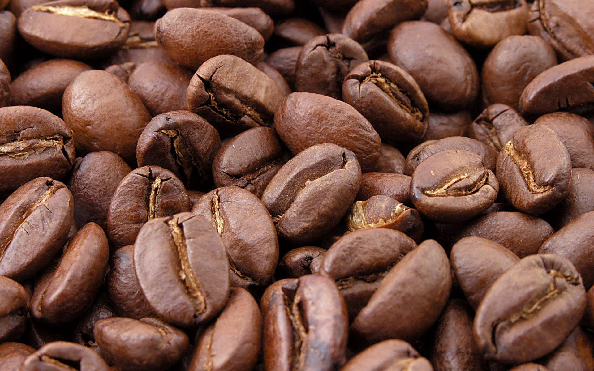 Close-up Coffee Beans Background