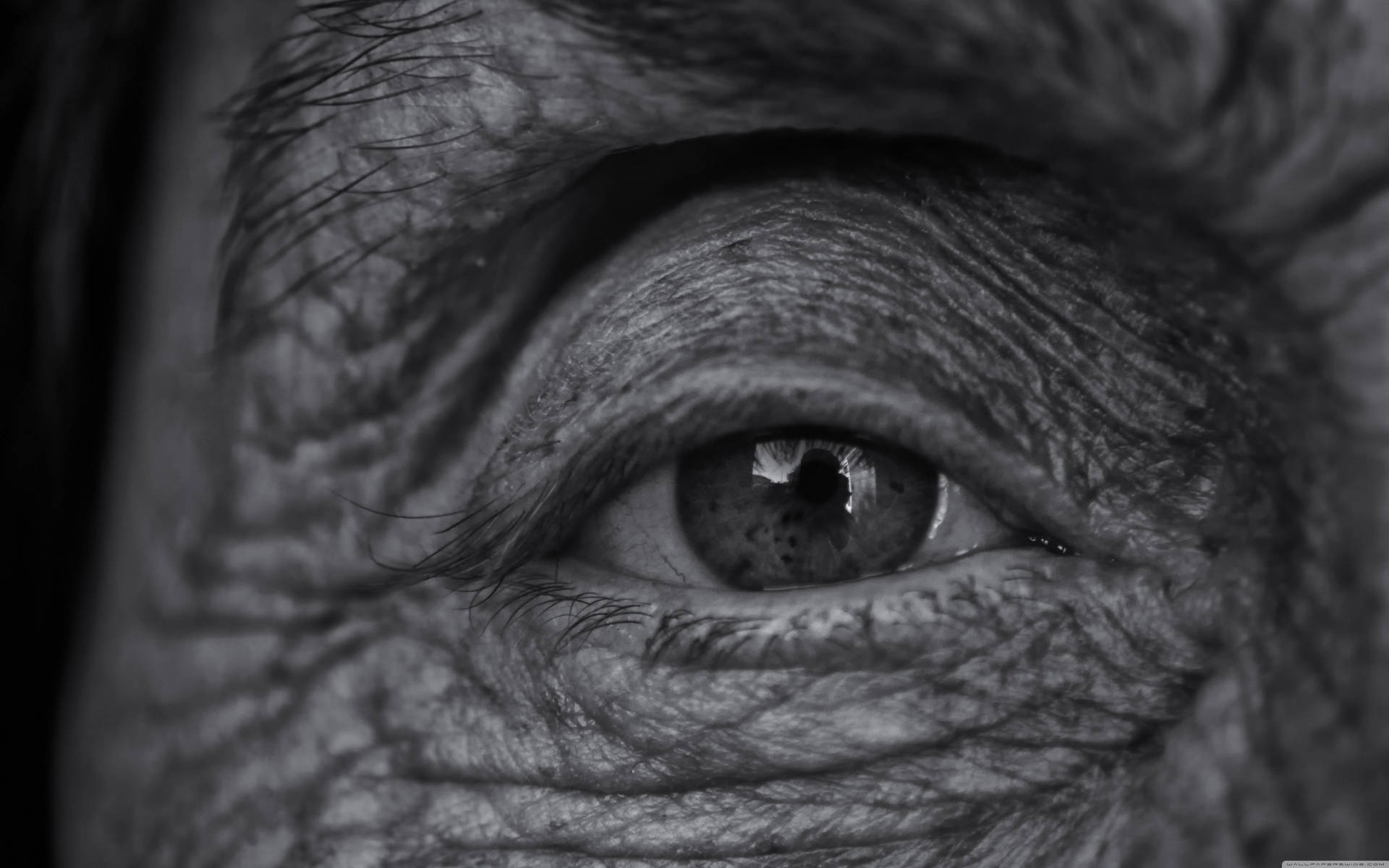 Close Up Detail Of An Aged Woman's Eye Background