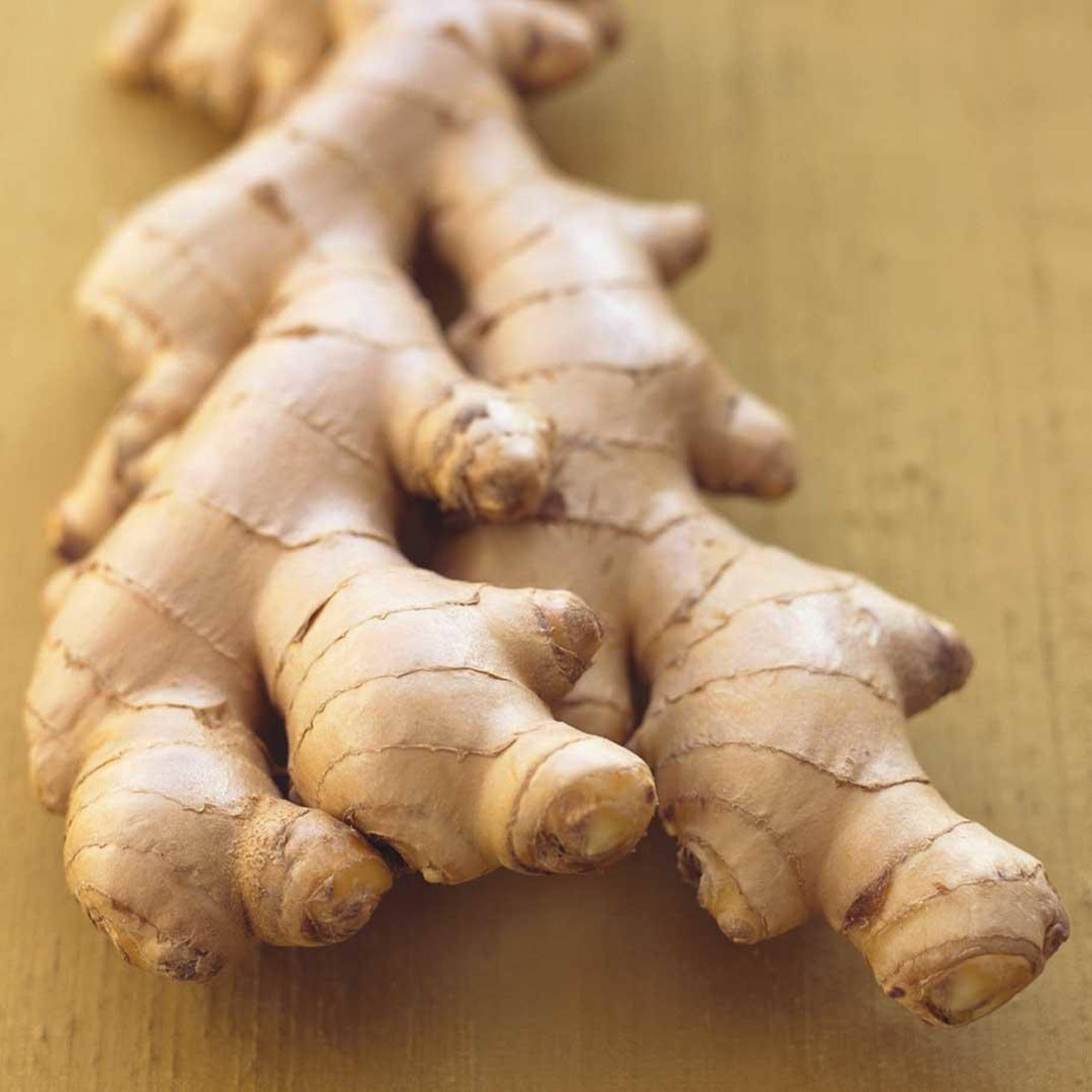 Close Up Dried Ginger Root Vegetable Background