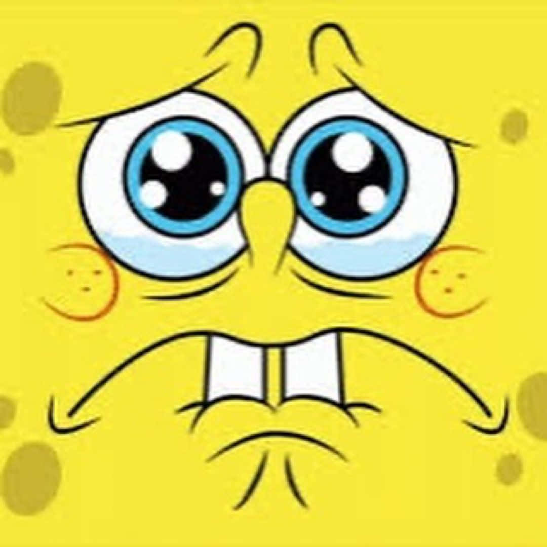 Close-up Face Of Spongebob Crying Background