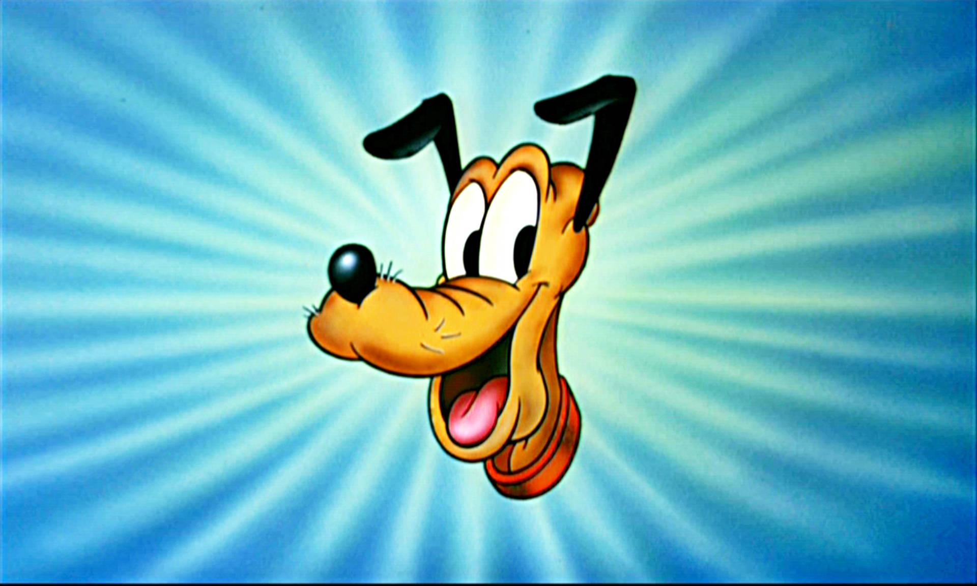 Close Up Image Of Disney's Pluto With A Playful Charm. Background