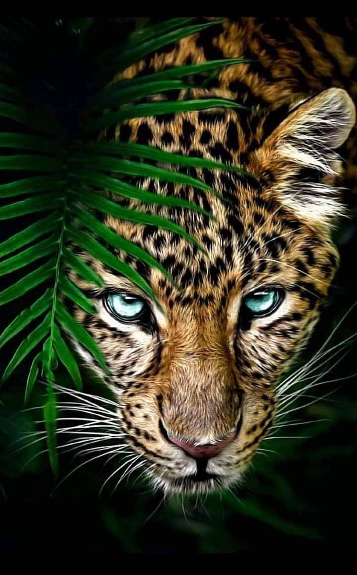 Close-up Leopard Wild Animal Background