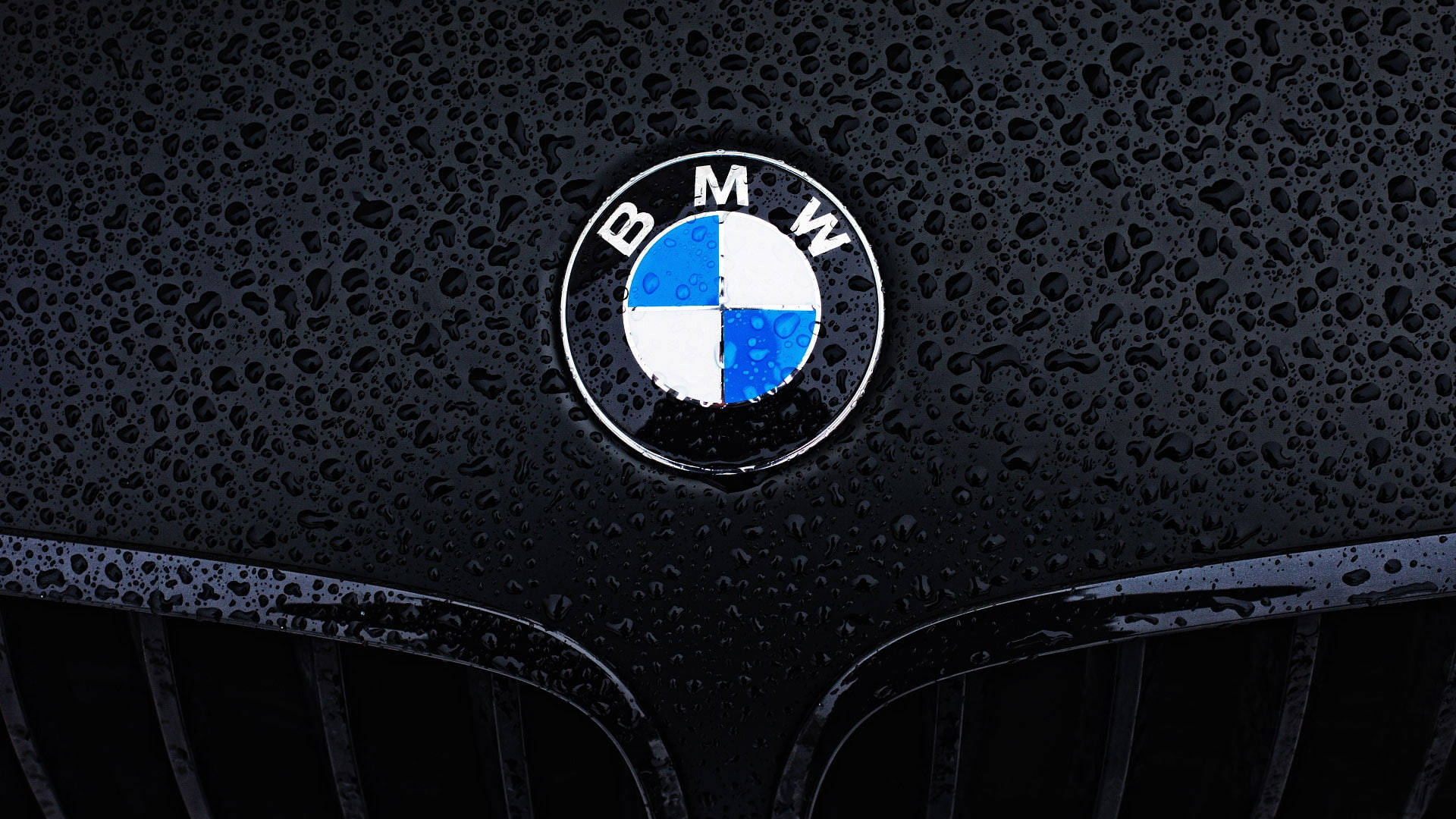 Close-up Logo Bmw Laptop