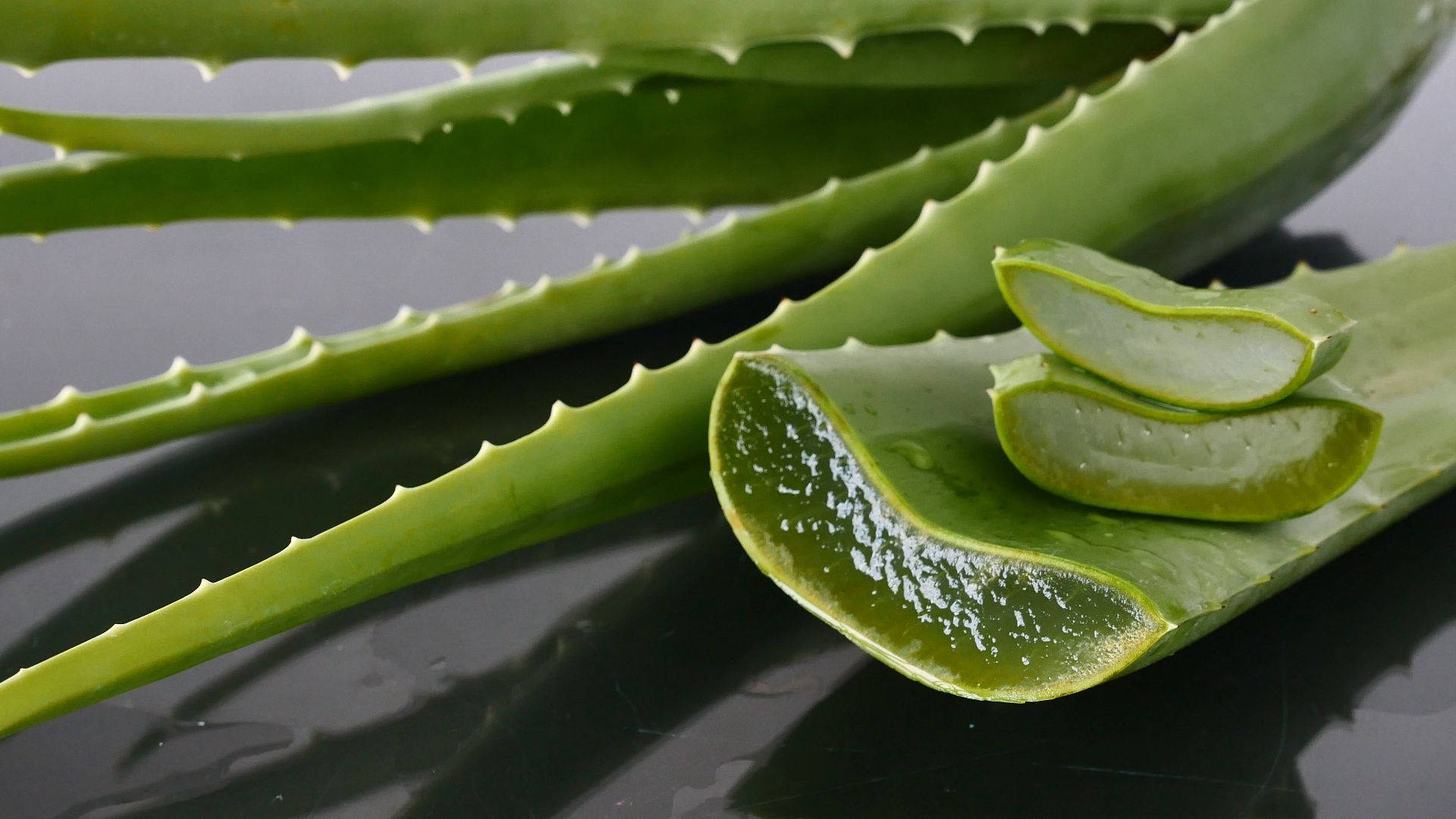 Close-up Look At Aloe Vera Leaf Background