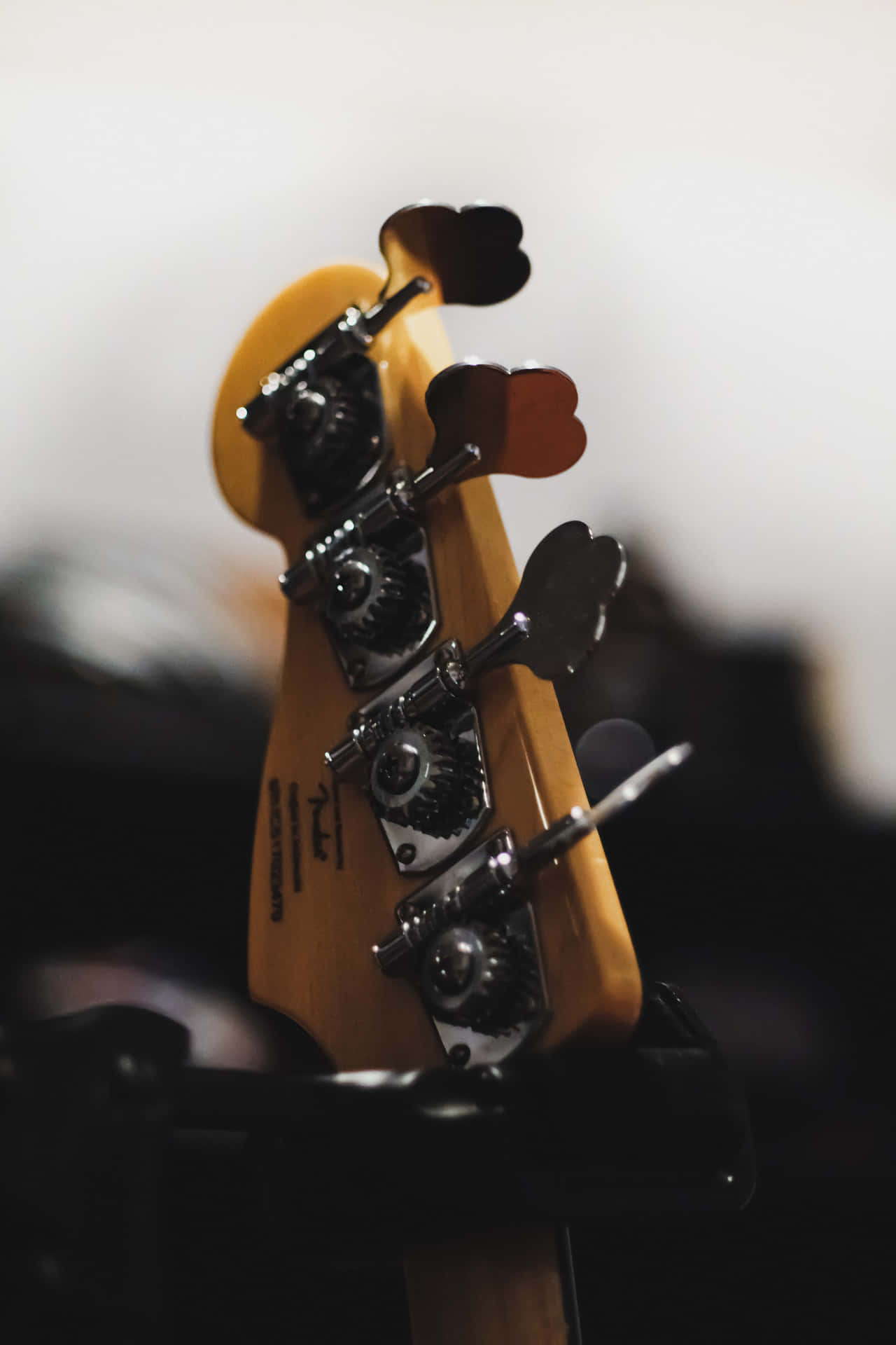 Close Up Of 5-string Bass Guitar