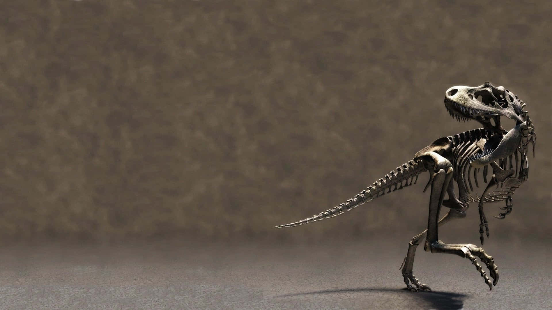 Close-up Of A Black Dinosaur Background