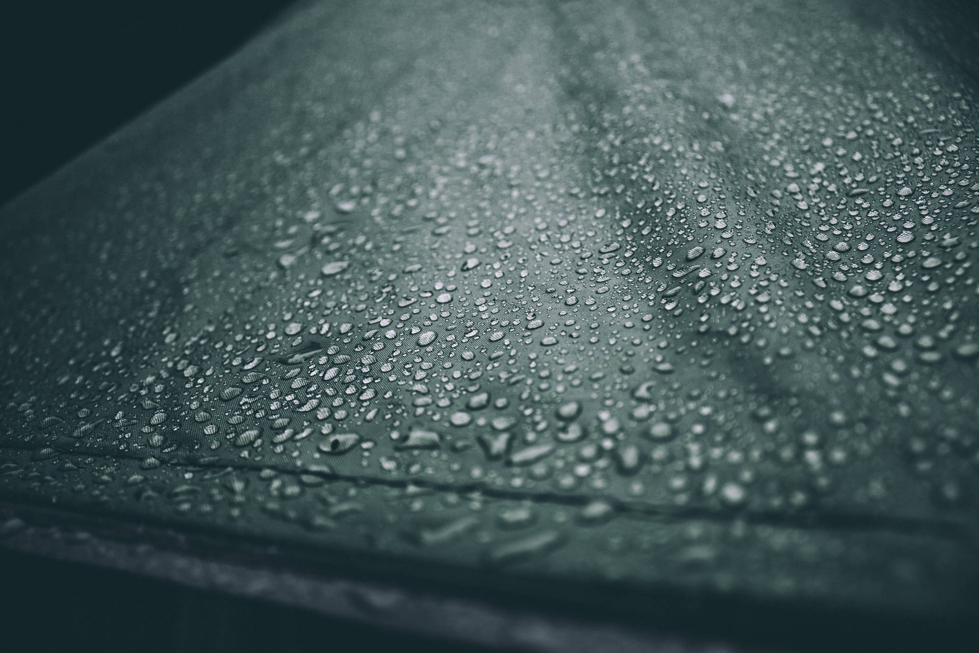 Close-up Of Glistening Water Droplets On A Reflective Surface Background
