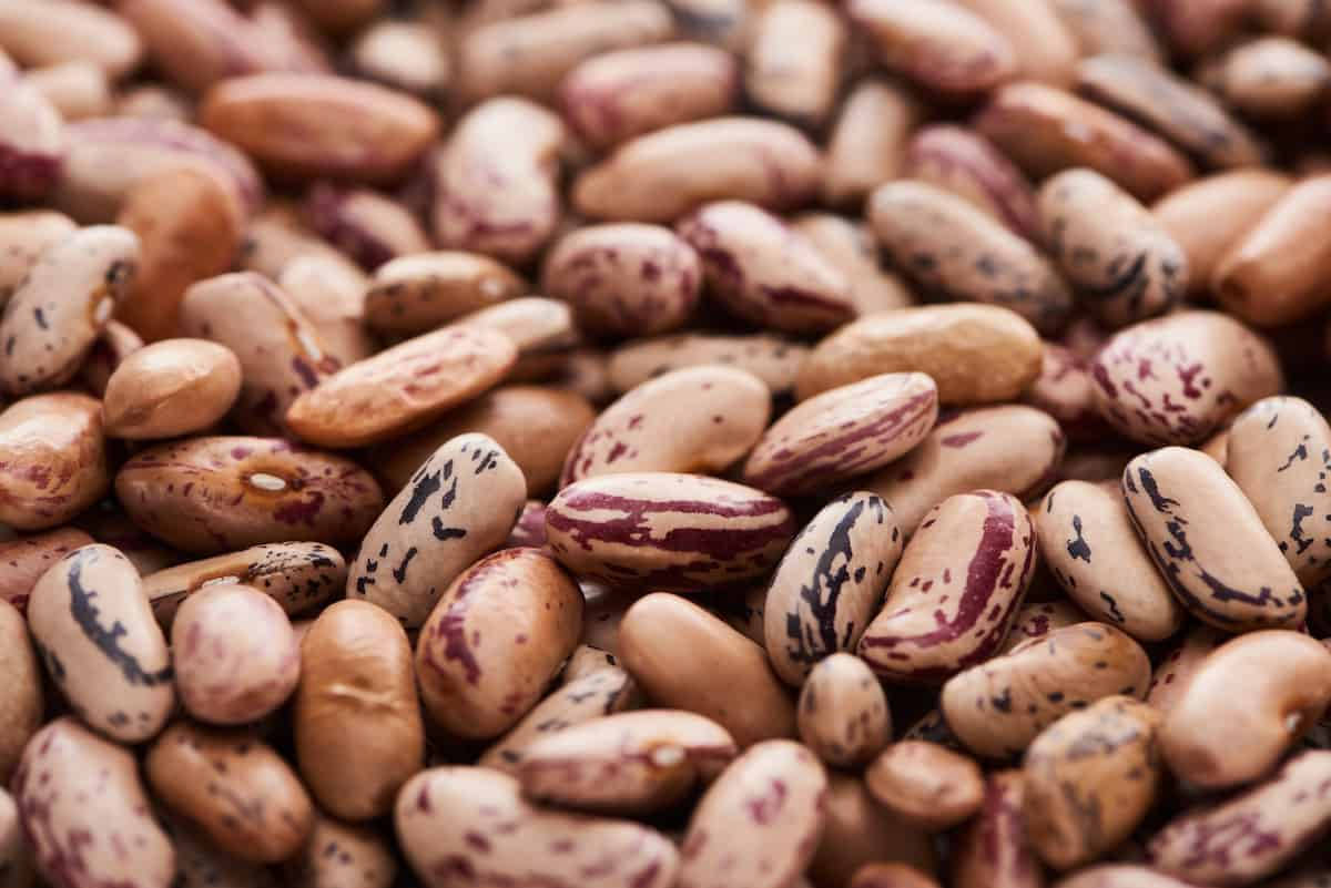 Close Up Of Pinto Beans