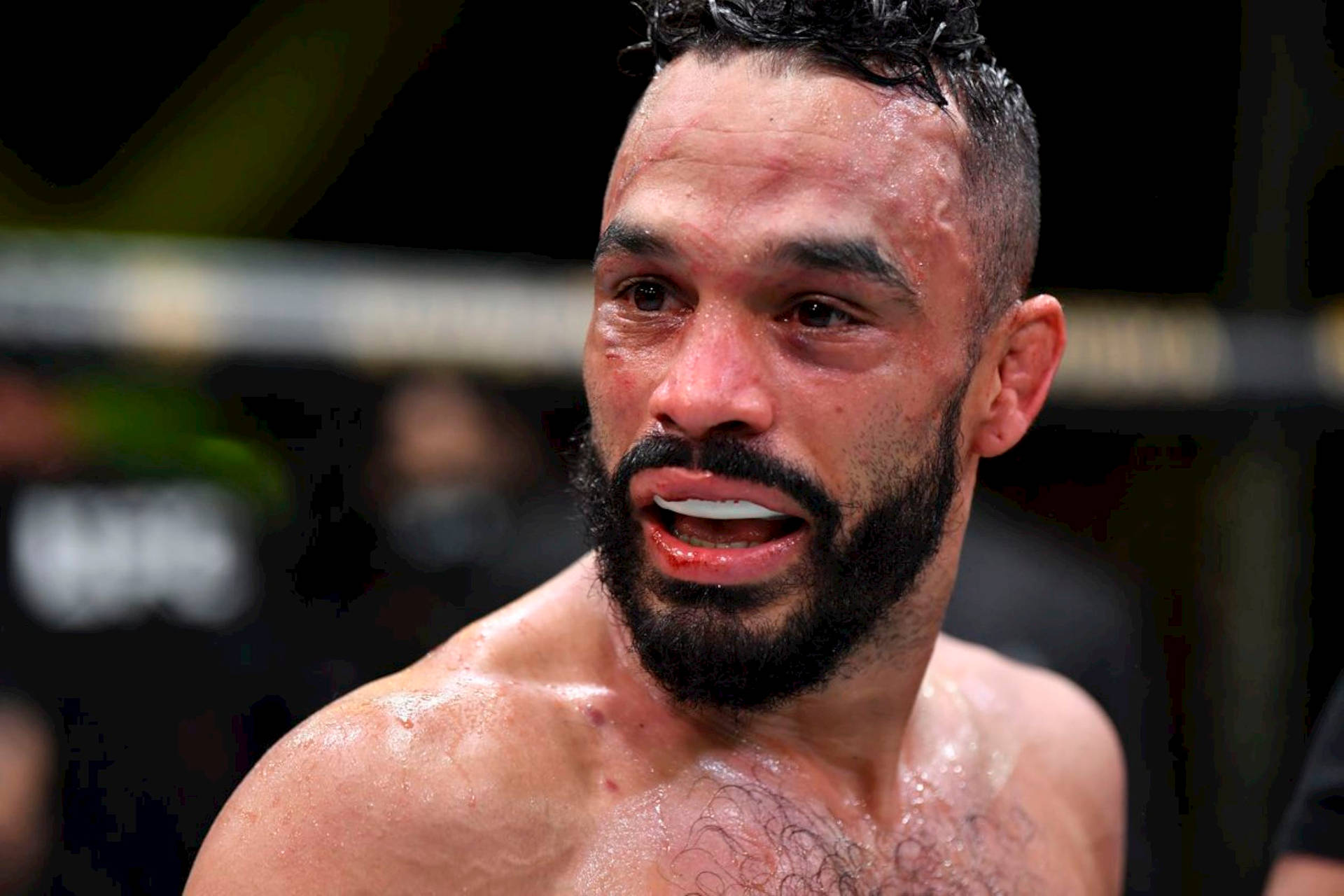 Close-up Of Rob Font Background