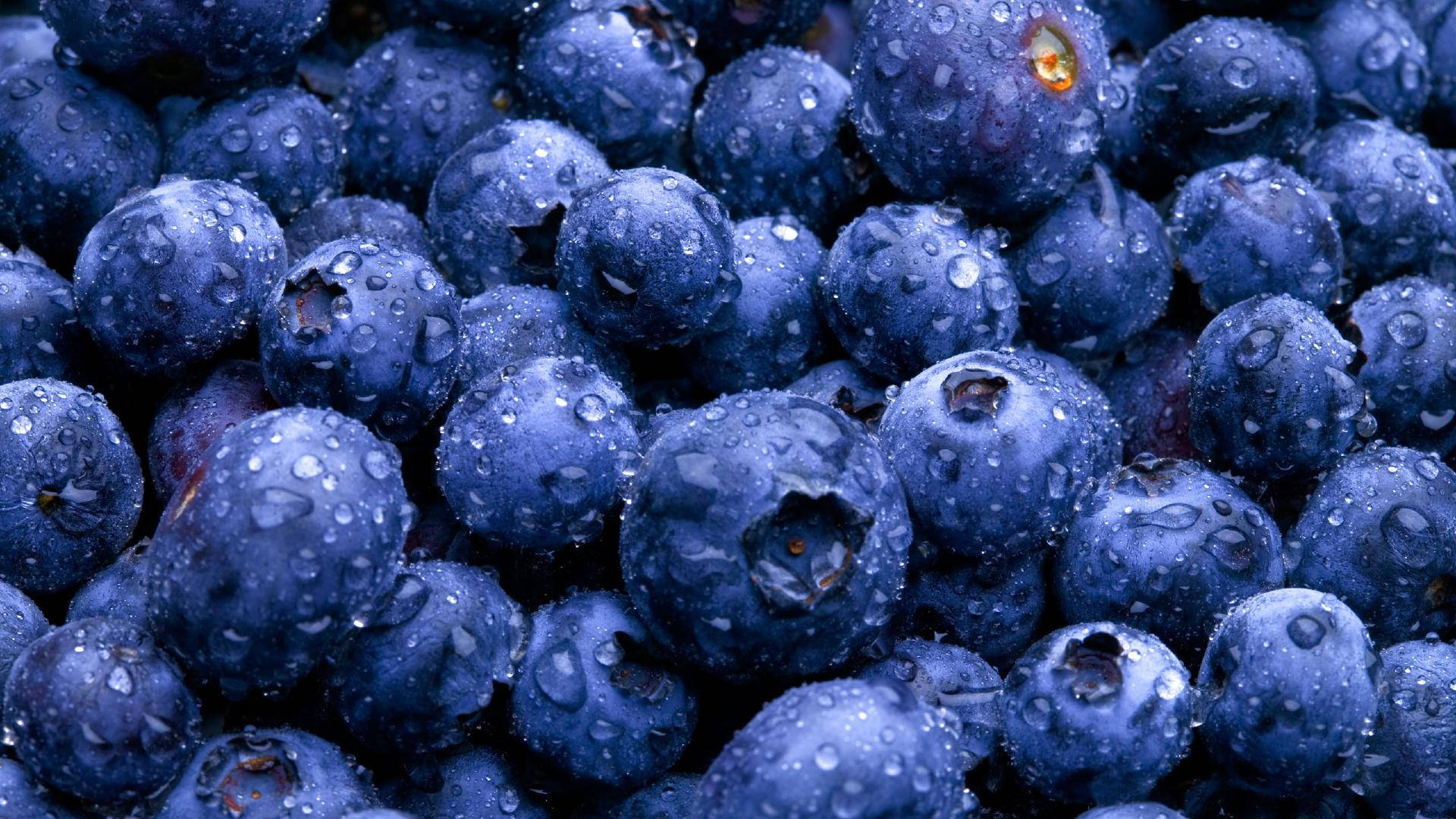 Close Up Purple Blueberries