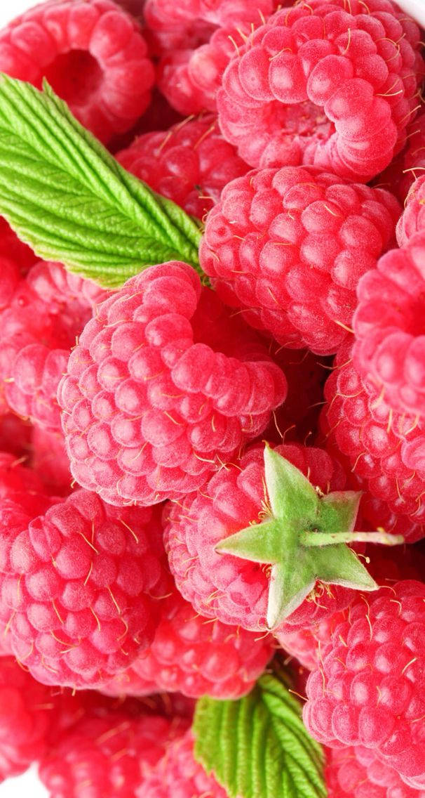 Close-up Red Raspberries