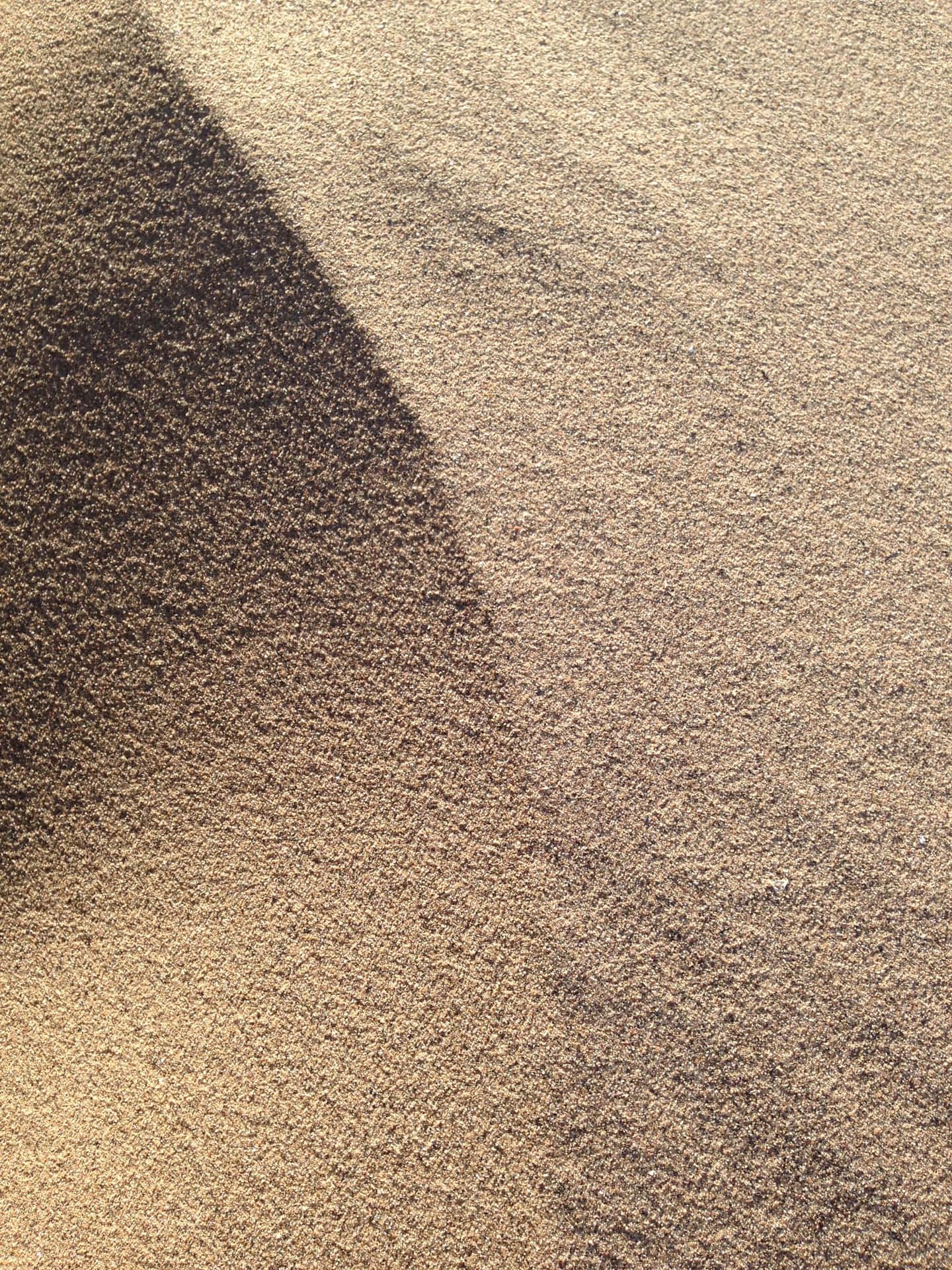 Close-up Sand Dune Desert