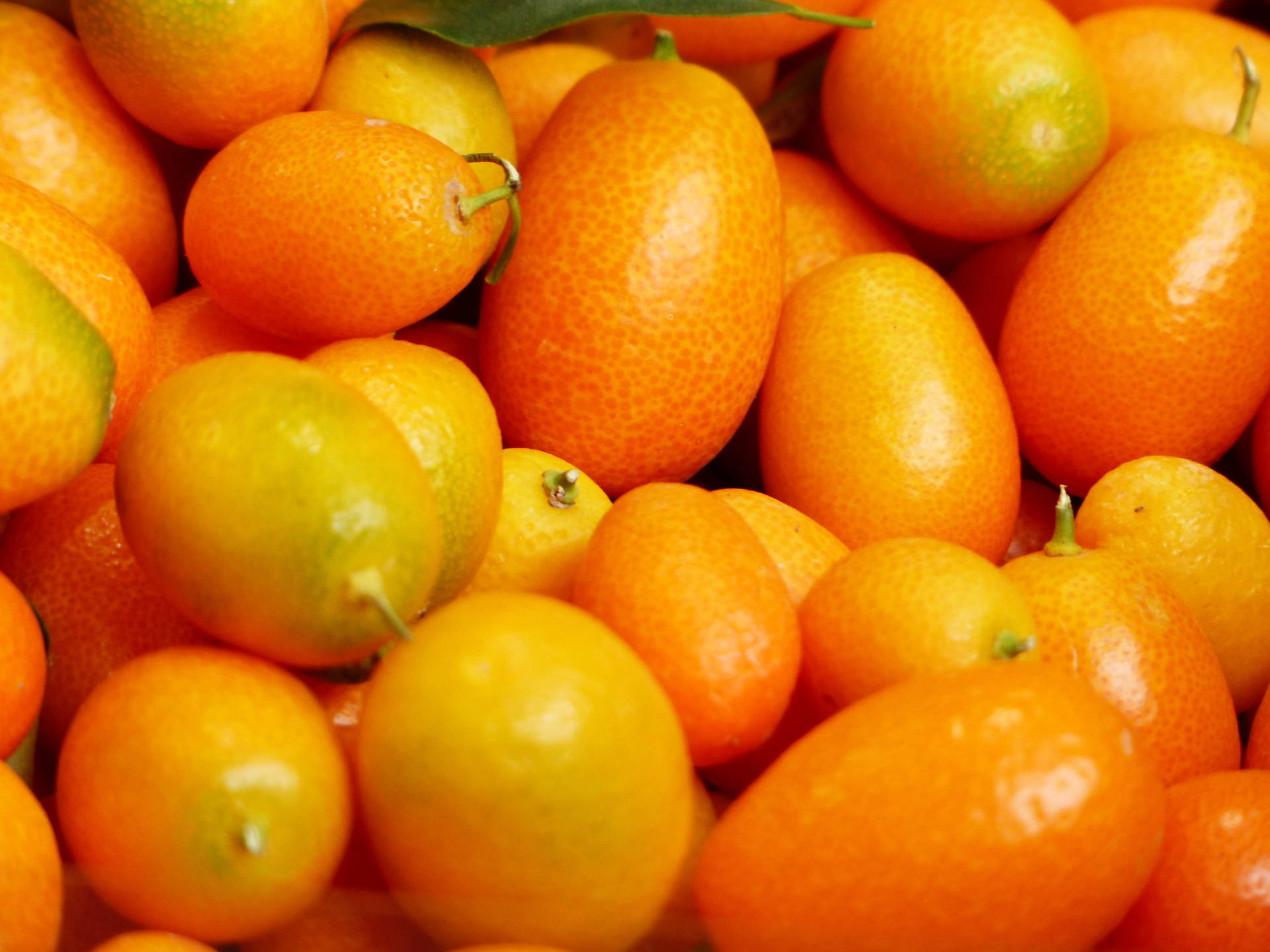 Close Up Shot Kumquat Fruits