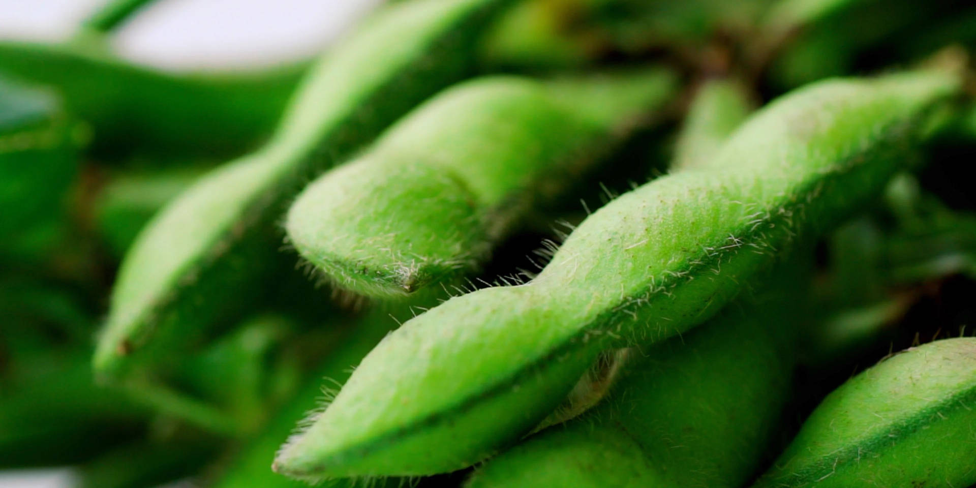 Close-up Shot Of Edamame Beans Background