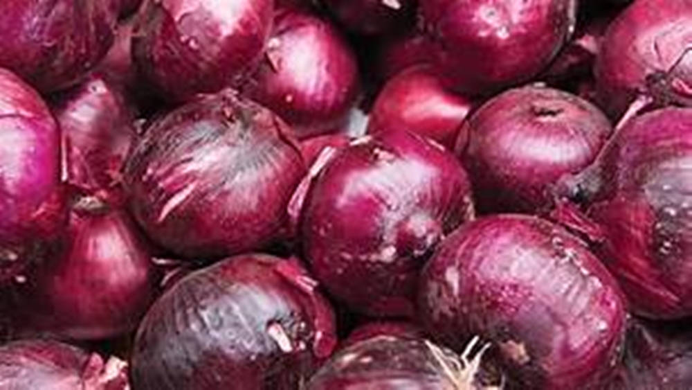 Close-up Shot Of Harvested Red Onions Background