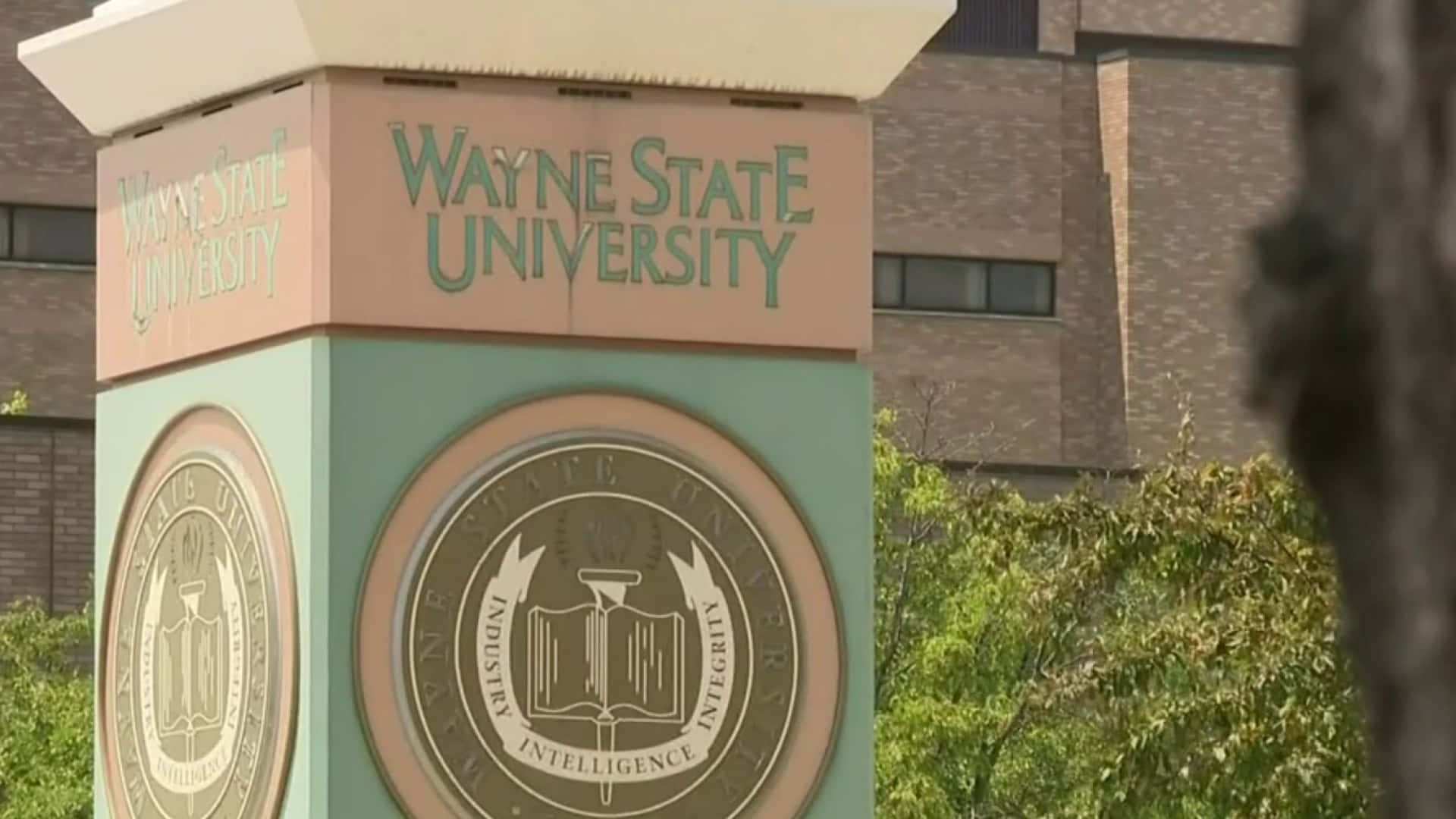 Close-up Signage Wayne State University Background