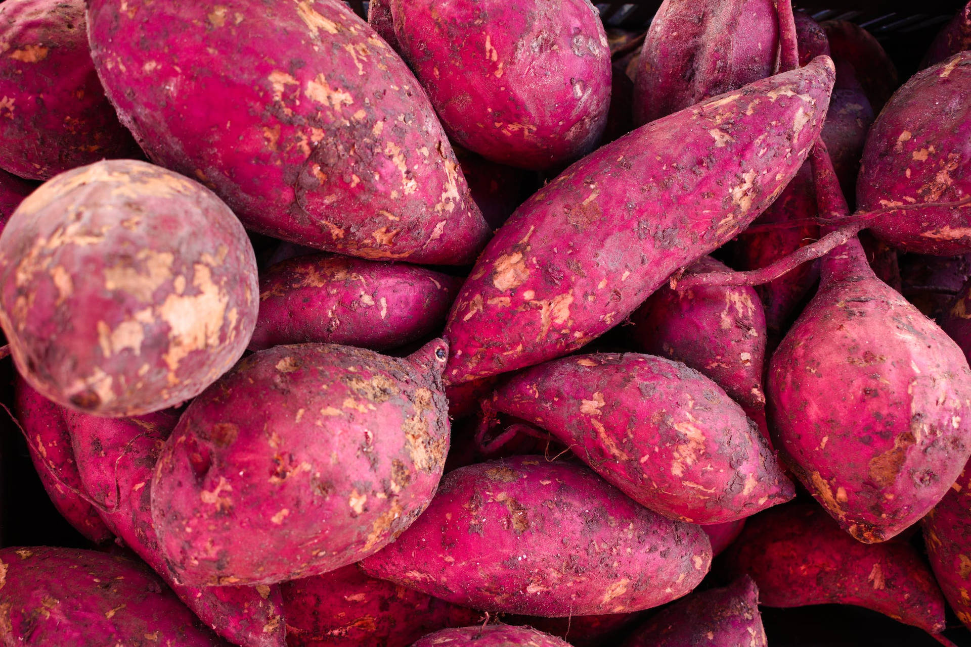 Close Up Sweet Potato Background