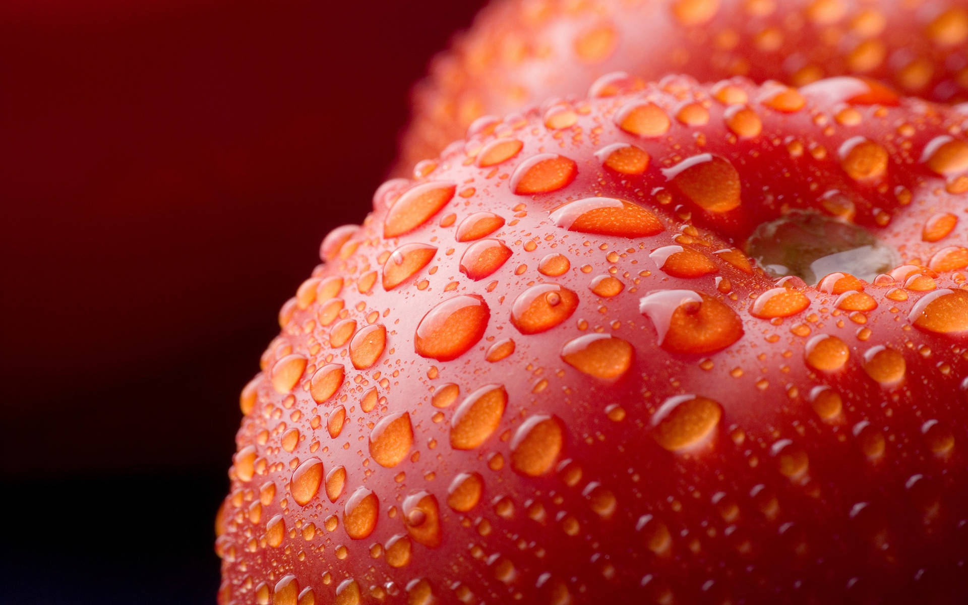 Close Up Tomato Fruits Shot Background