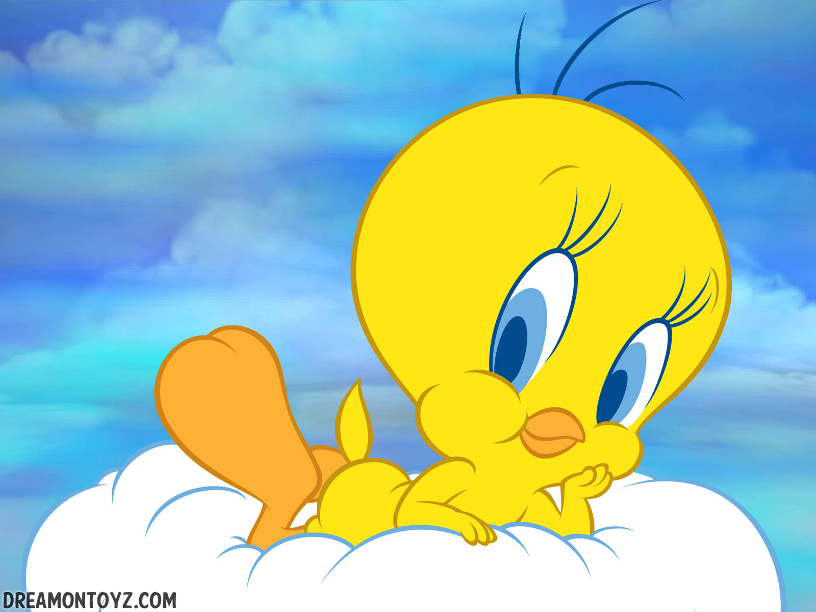 Close Up Tweety On Cloud Background