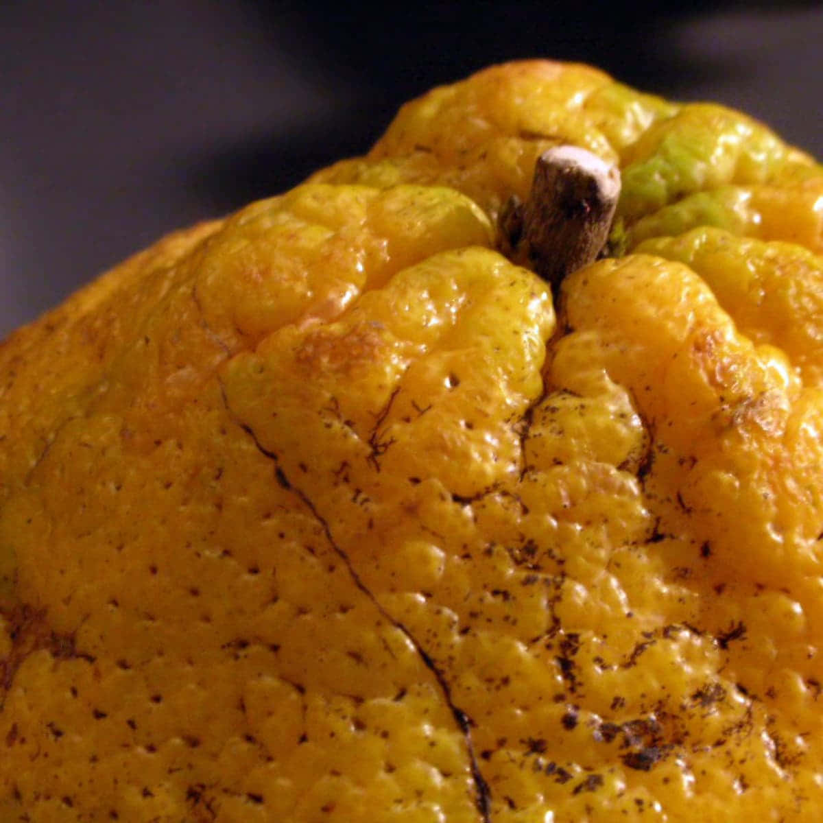 Close-up View Of Fresh Ugli Fruit Background