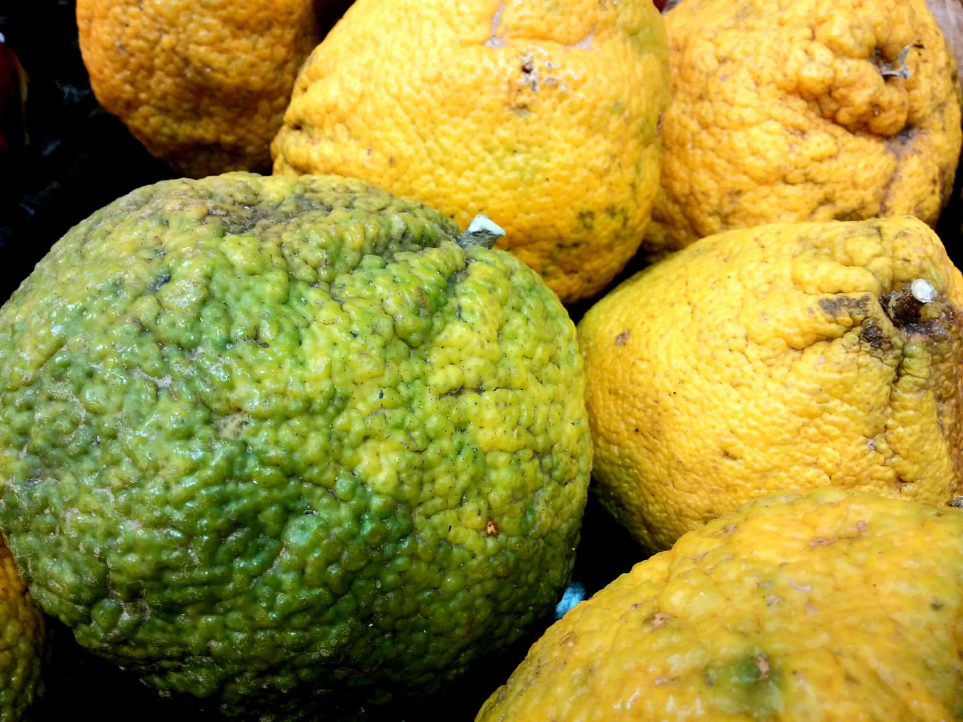 Close-up View Of Ripe Green And Yellow Ugli Fruit Background
