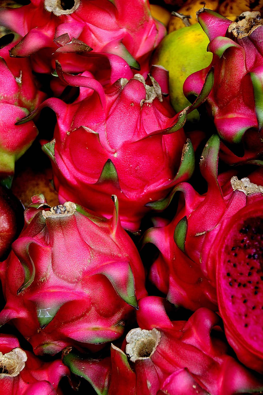 Close-up View Of Vibrant Dragonfruit Bunch