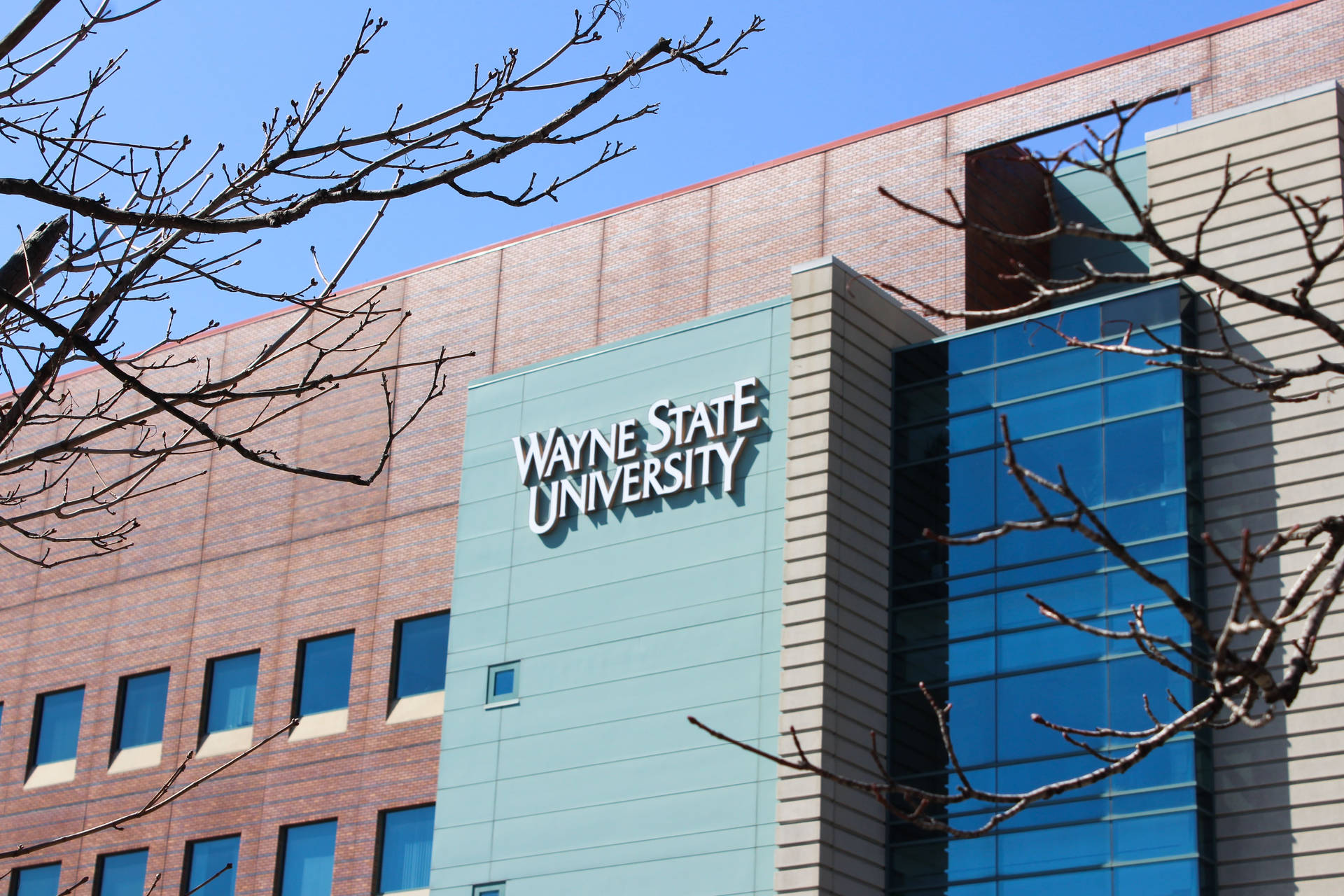 Close-up Wayne State University School Building