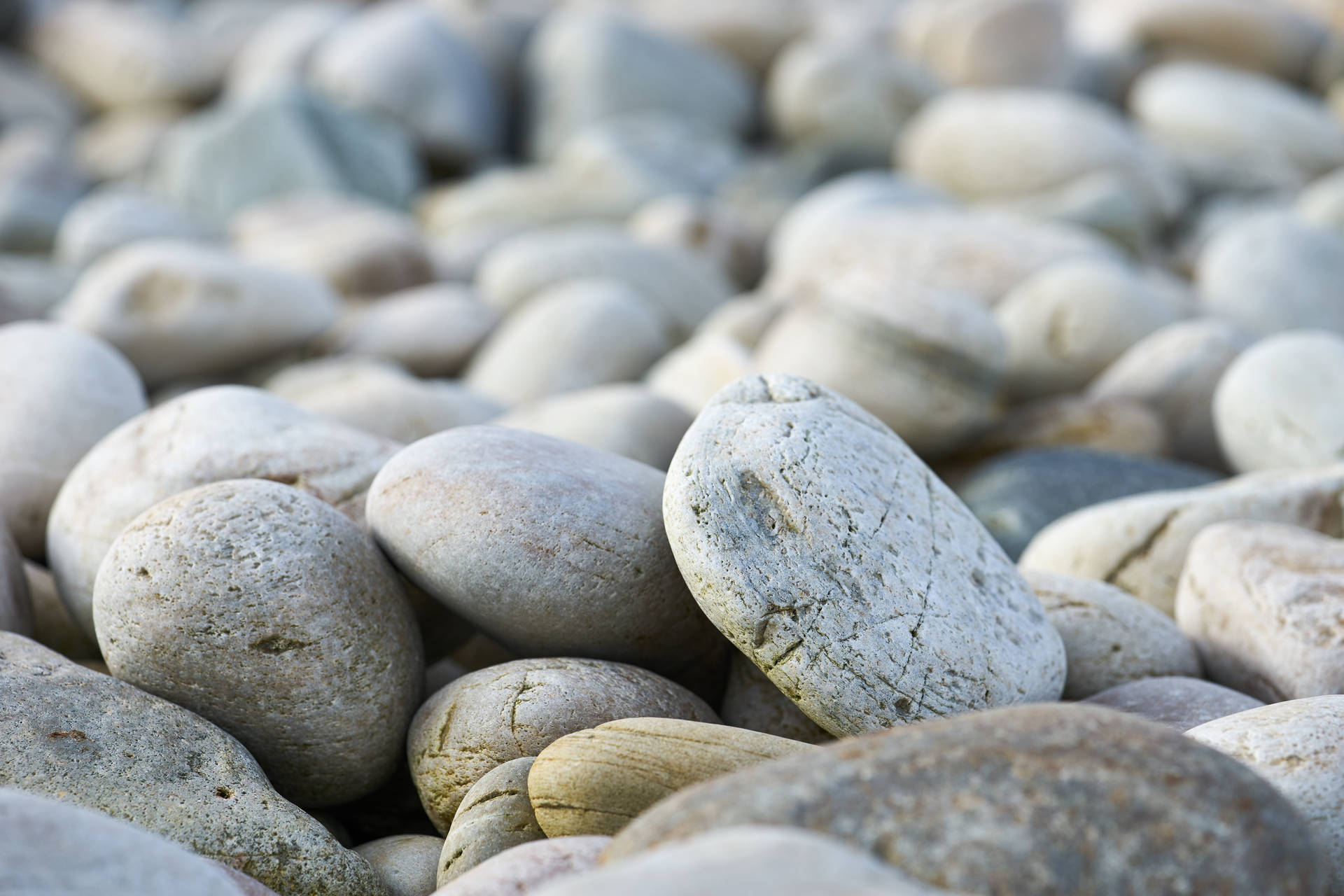 Close-up White Beach Stone Background