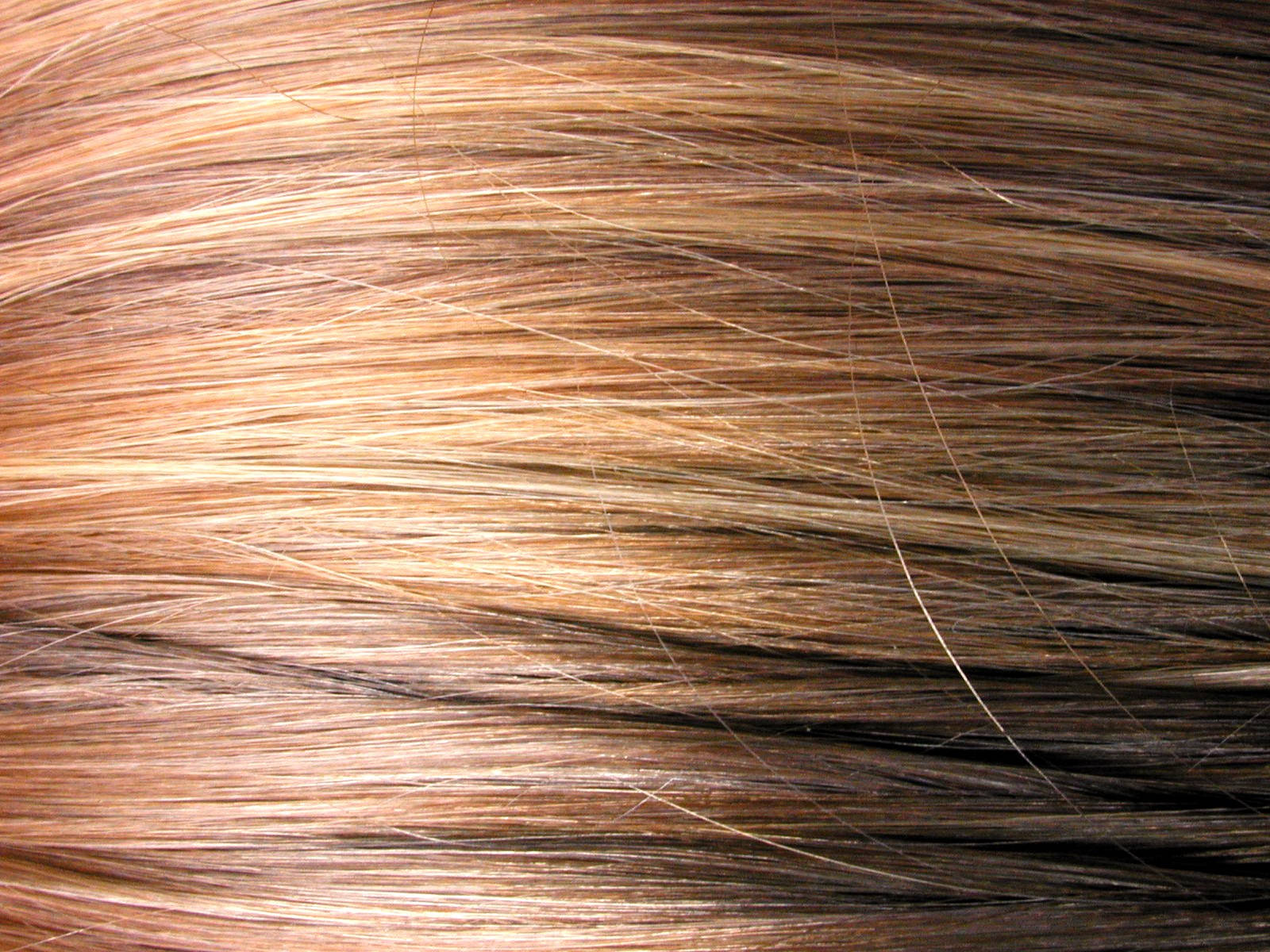 Closeup Of Shiny Brown Hair Strands