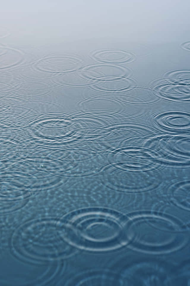 Closeup Of The Iconic Apple Logo On An Iphone With Ios 4 Installed Background