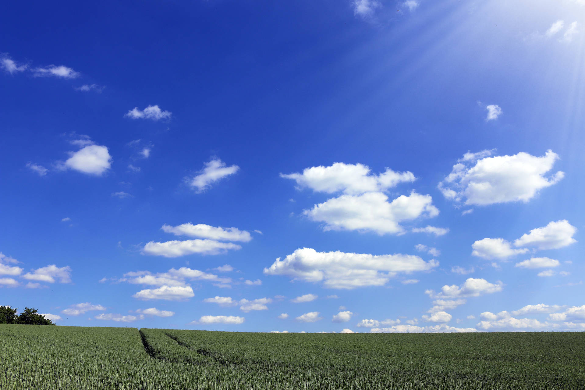 Cloud Background Green Field Background