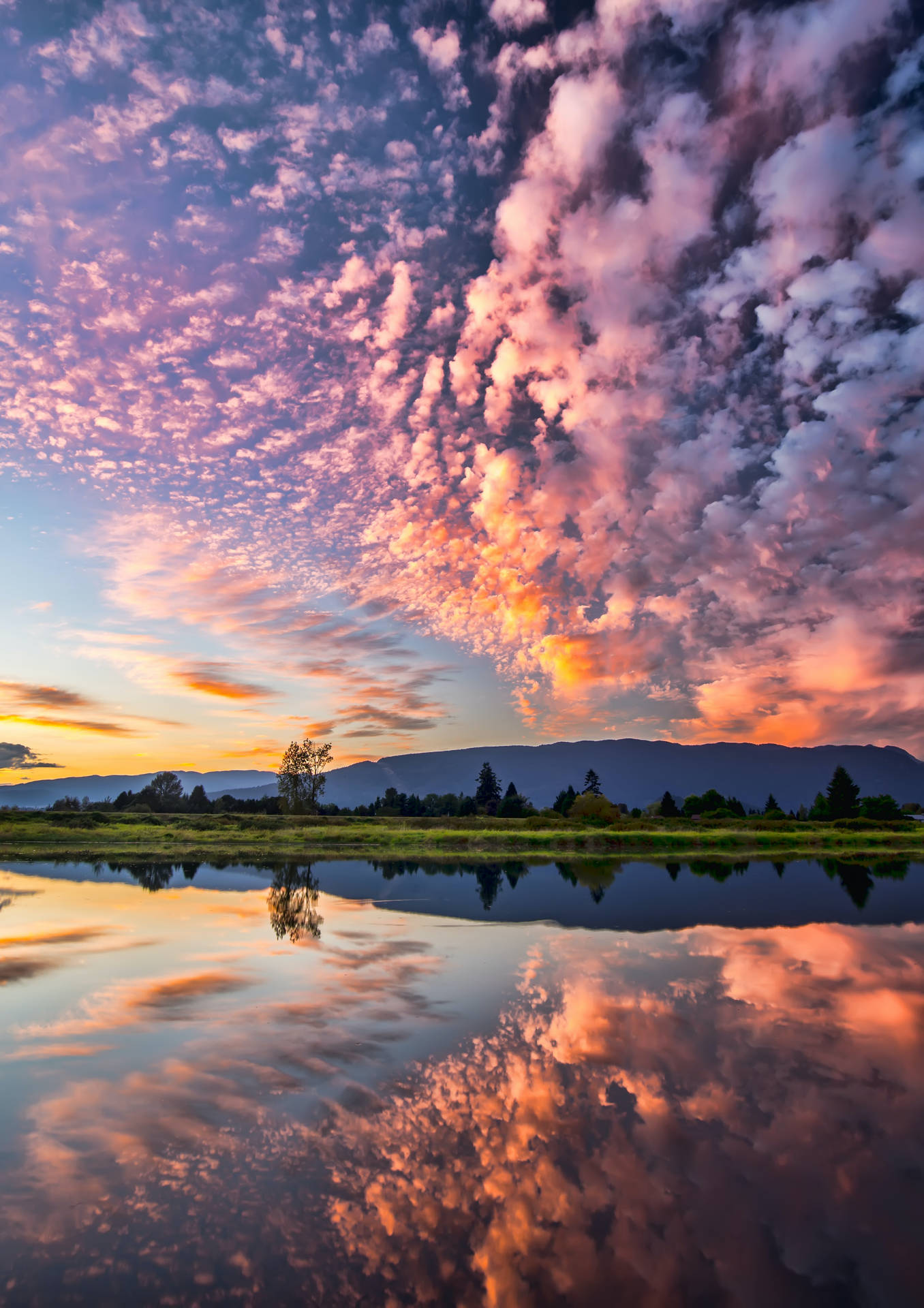 Cloud Background Reflection