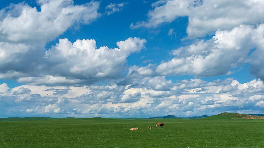 Cloudy Day In Mongolias Region