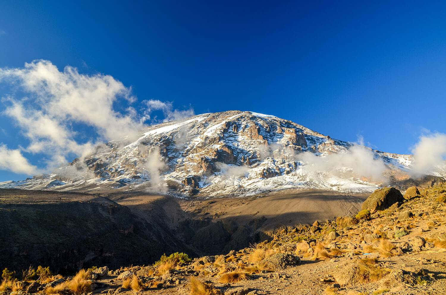 Cloudy Mount Kilimanjaro Background